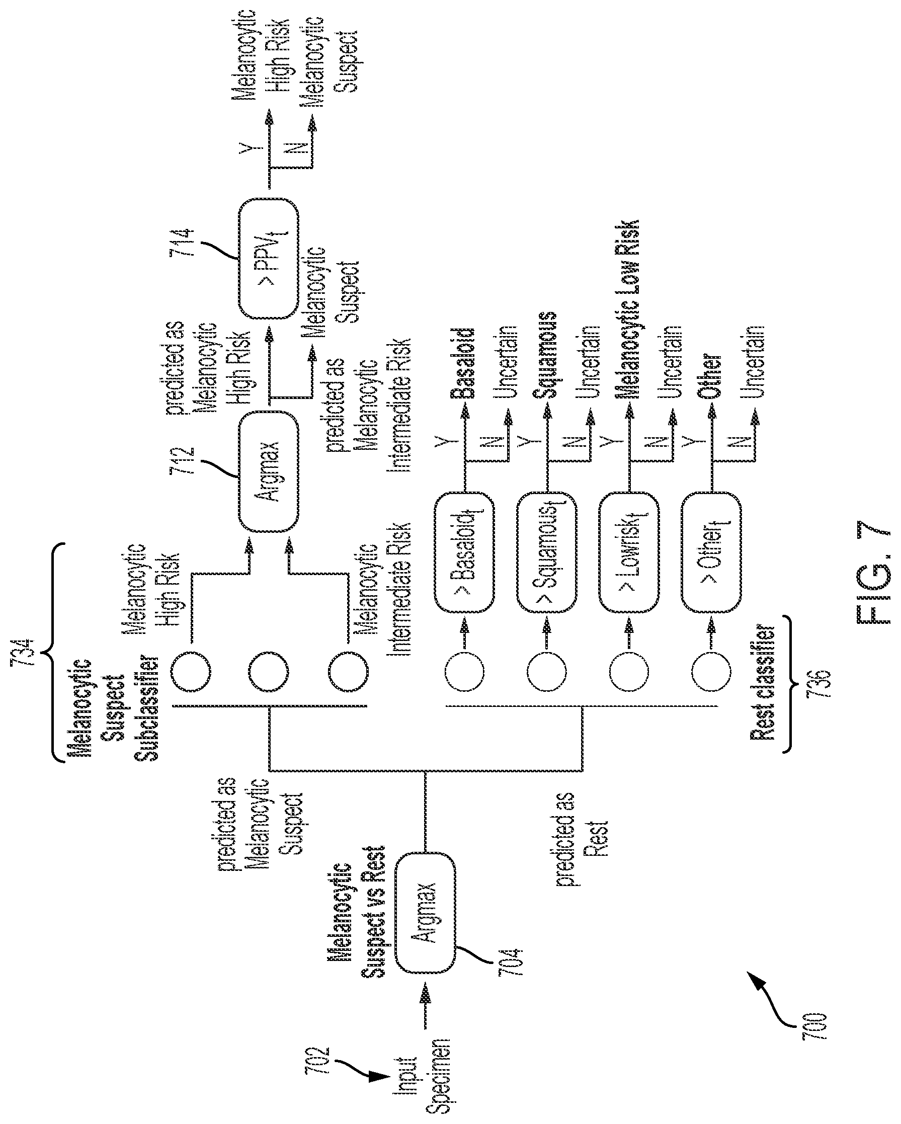 Patent US12597133 Figure 7 – Training end-to-end weakly supervised networks at the specimen (supra-image) level
