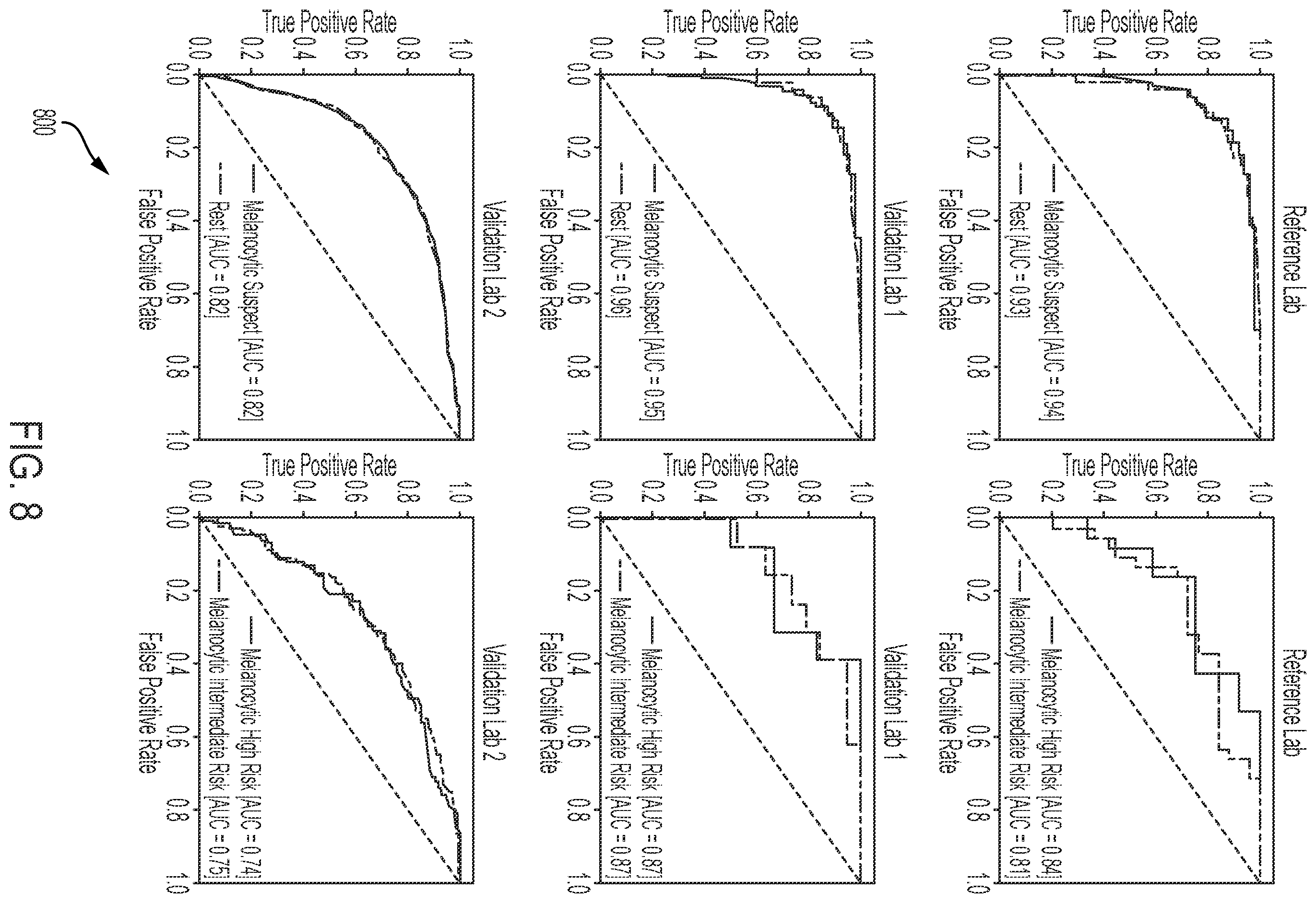 Patent US12597133 Figure 8 – Training end-to-end weakly supervised networks at the specimen (supra-image) level