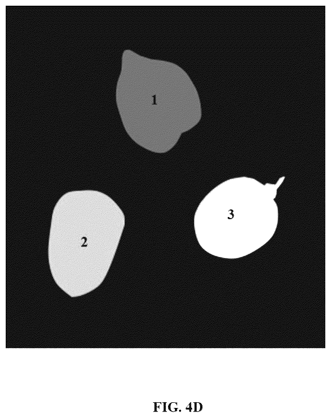 Patent US12597169 Figure 10 – Activity prediction using portable multispectral laser speckle imager