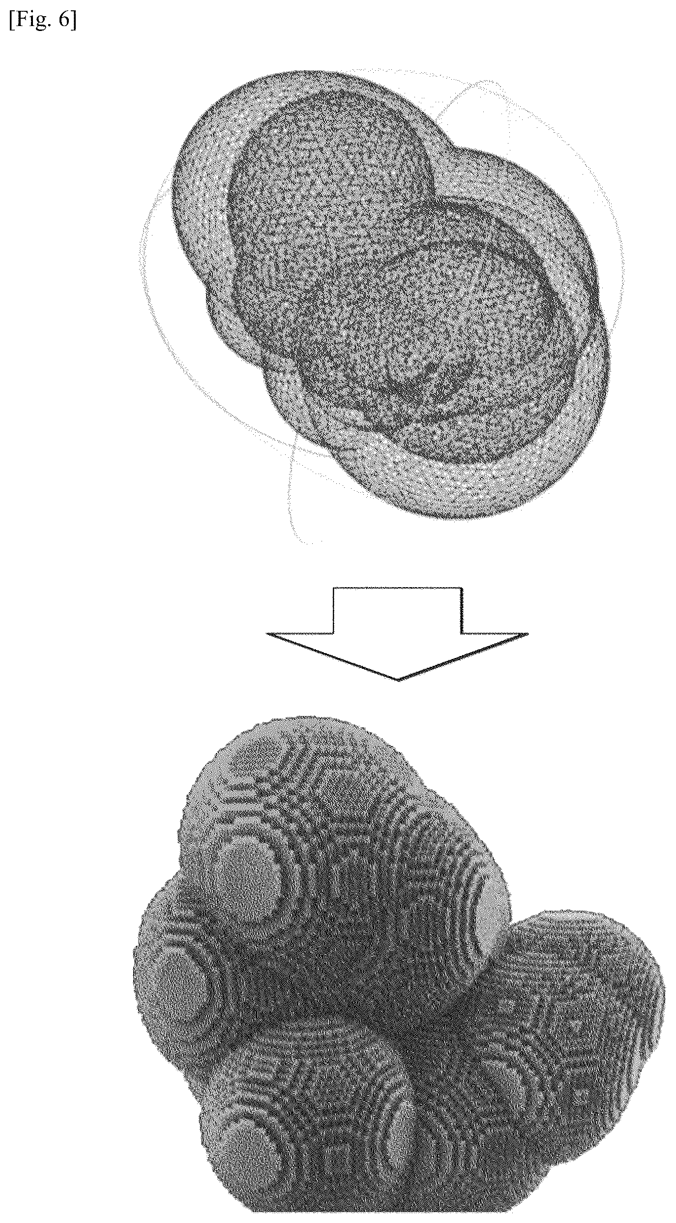 Patent US12597195 Figure 5 – Method for generating photographed image data using virtual organoid