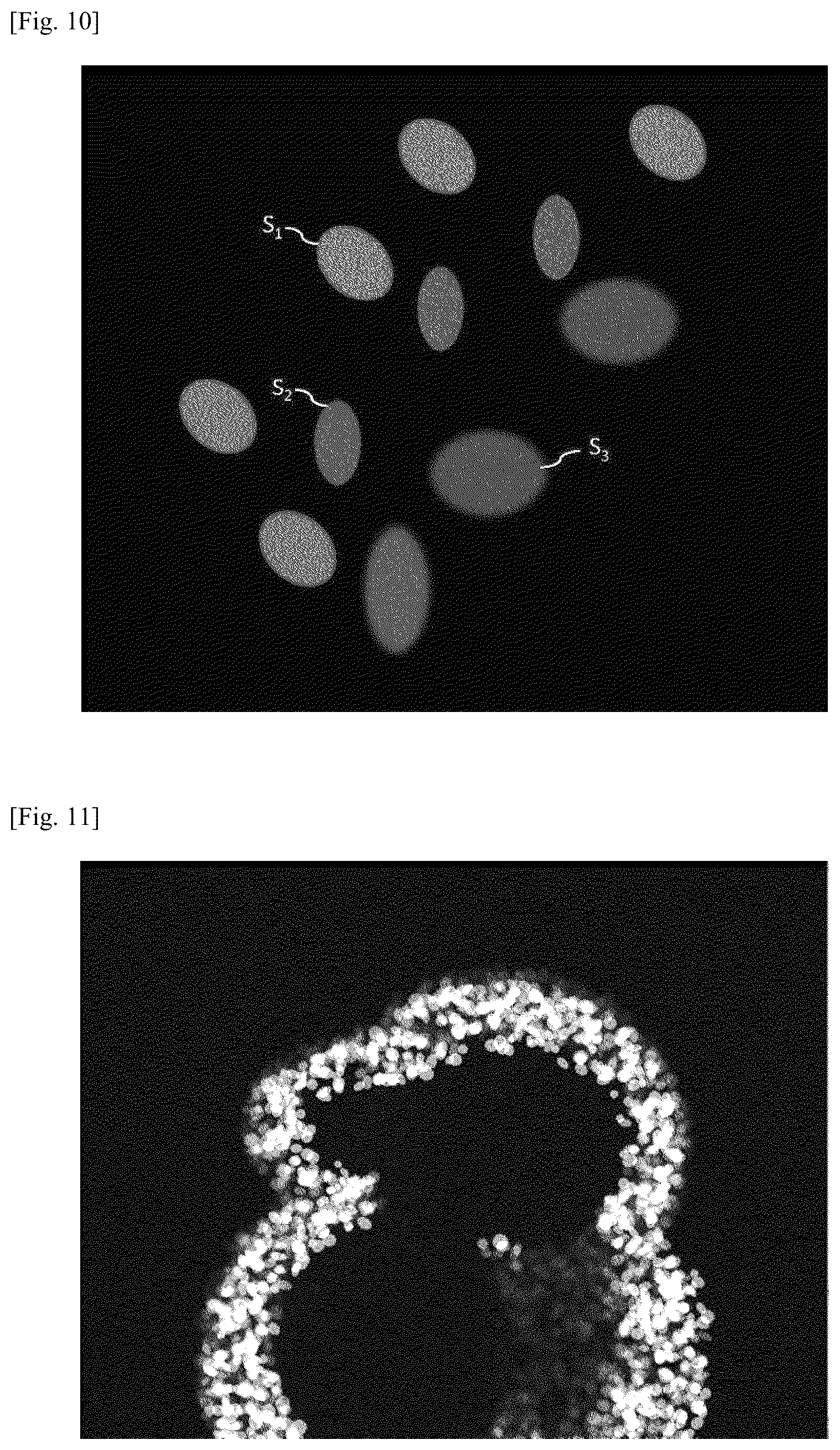 Patent US12597195 Figure 9 – Method for generating photographed image data using virtual organoid