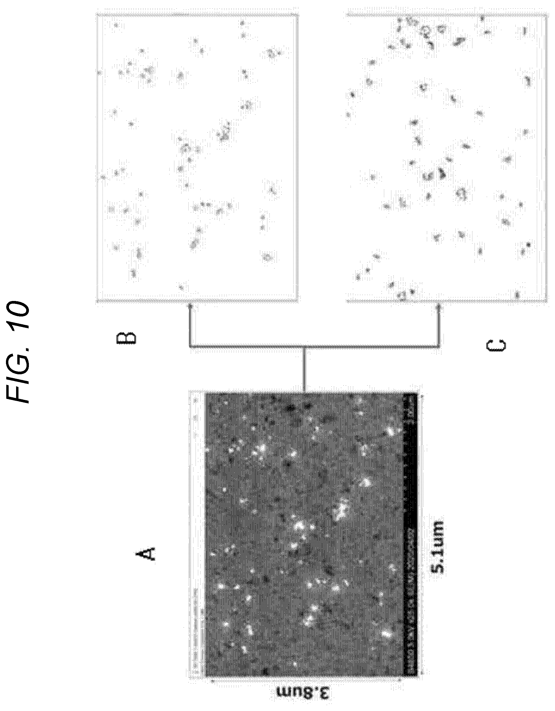 Patent US12597441 Figure 9 – Magnetic recording medium including fatty ester and fatty acid ester