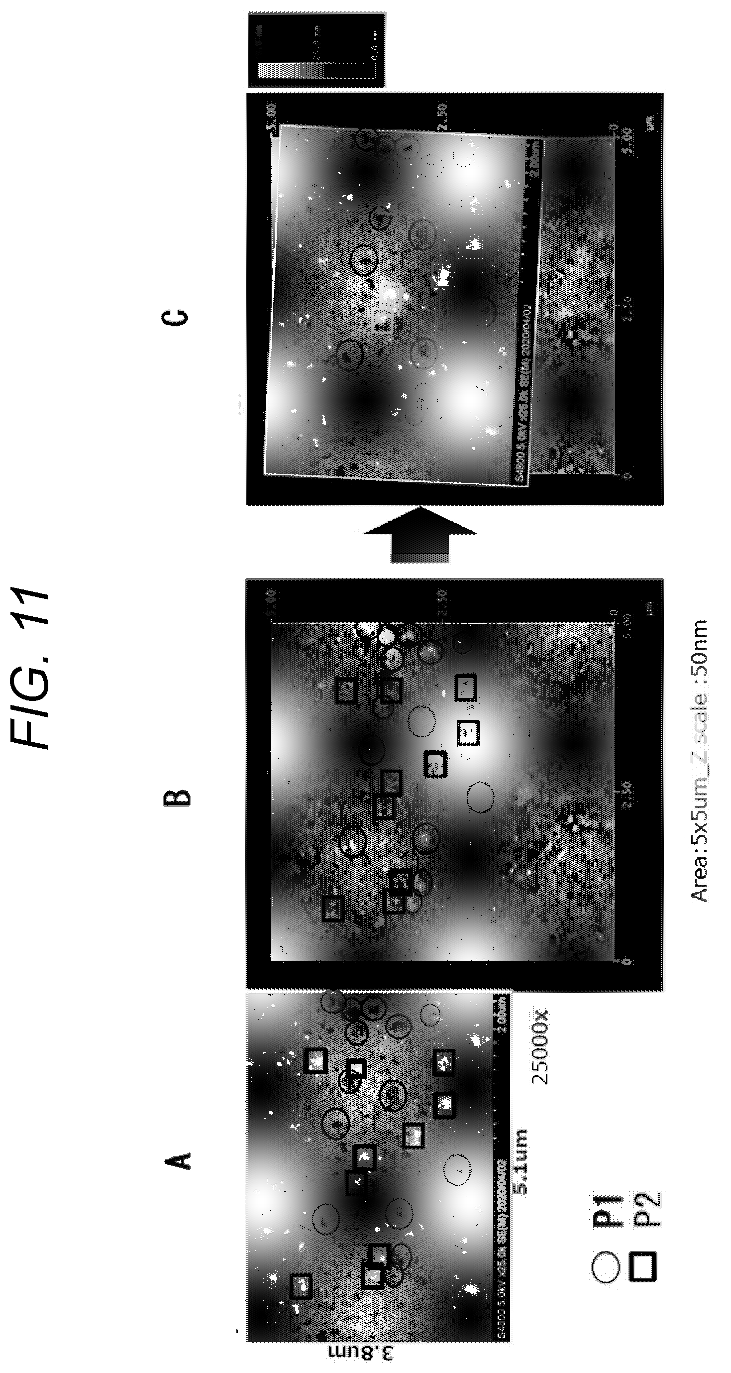 Patent US12597441 Figure 10 – Magnetic recording medium including fatty ester and fatty acid ester