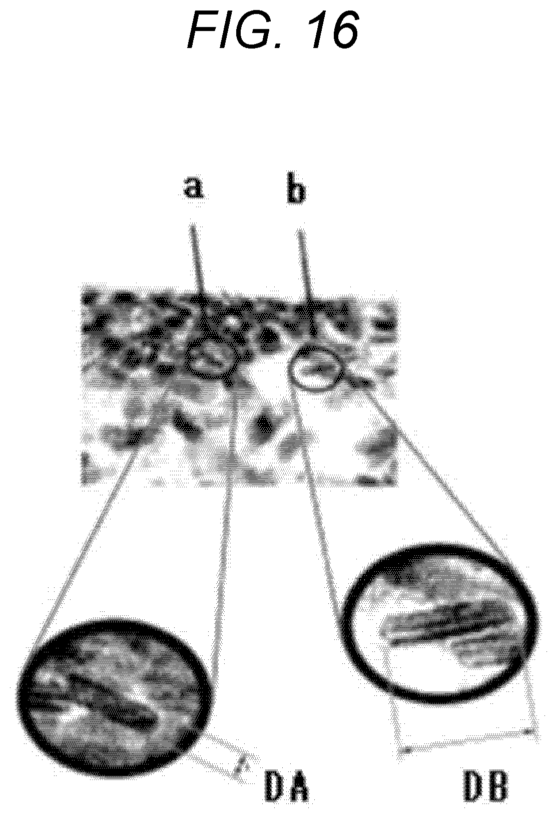 Patent US12597441 Figure 13 – Magnetic recording medium including fatty ester and fatty acid ester