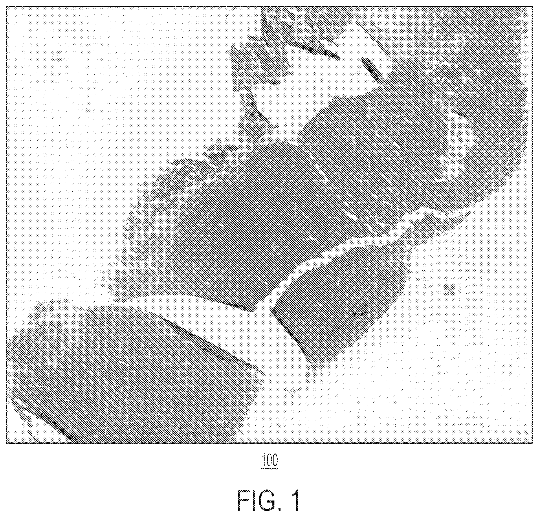 Patent US12597523 Figure 1 – Systems and methods for training a statistical model to predict tissue characteristics for a pathology image