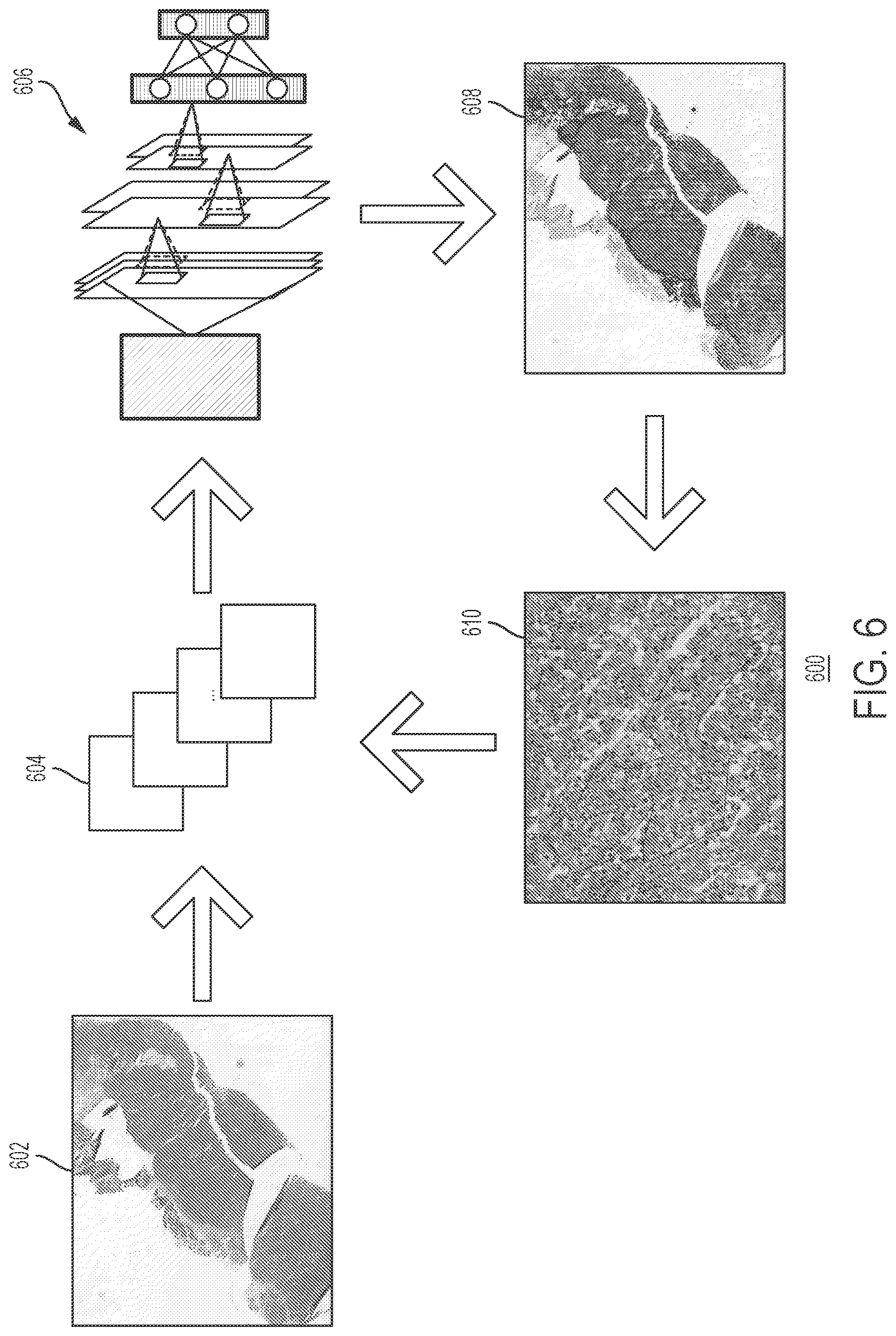 Patent US12597523 Figure 6 – Systems and methods for training a statistical model to predict tissue characteristics for a pathology image