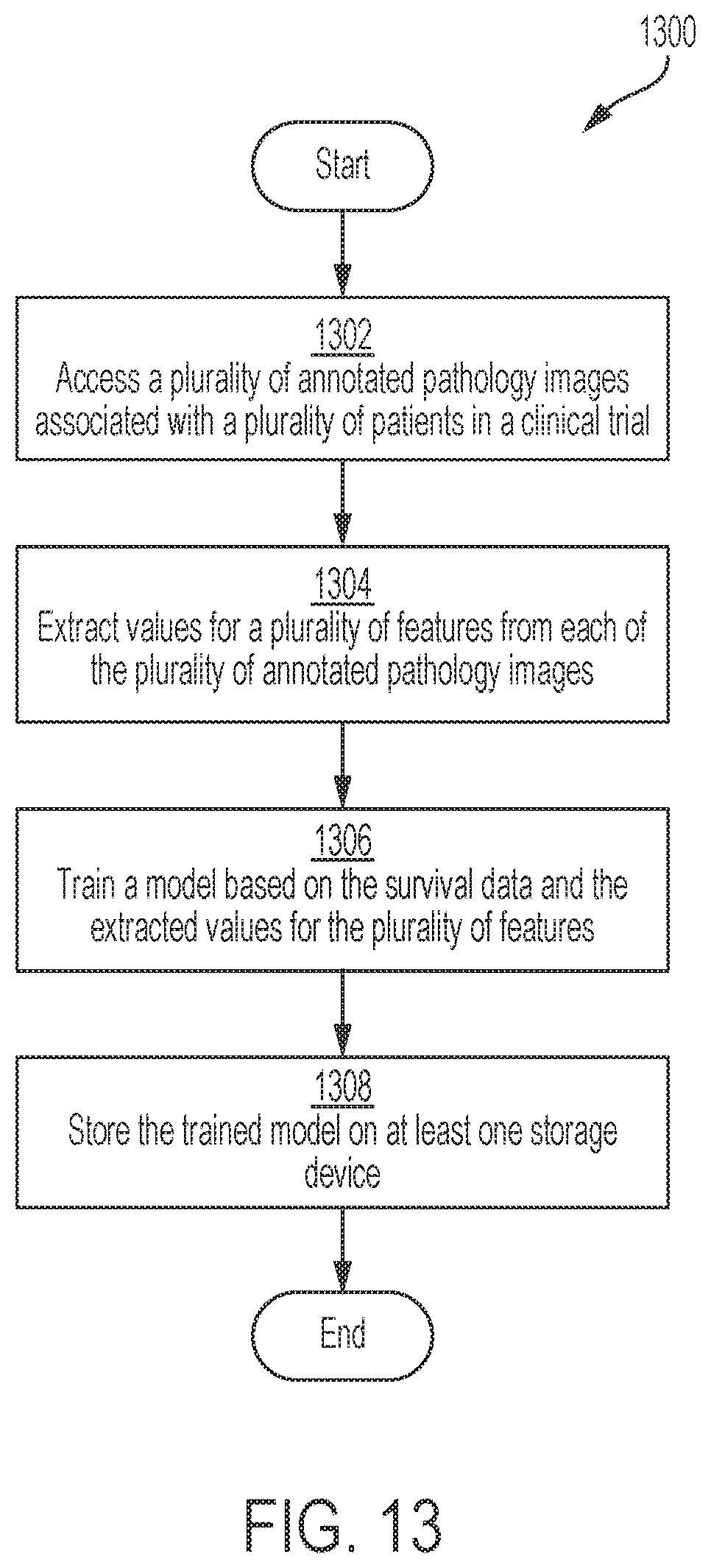 Patent US12597523 Figure 12 – Systems and methods for training a statistical model to predict tissue characteristics for a pathology image