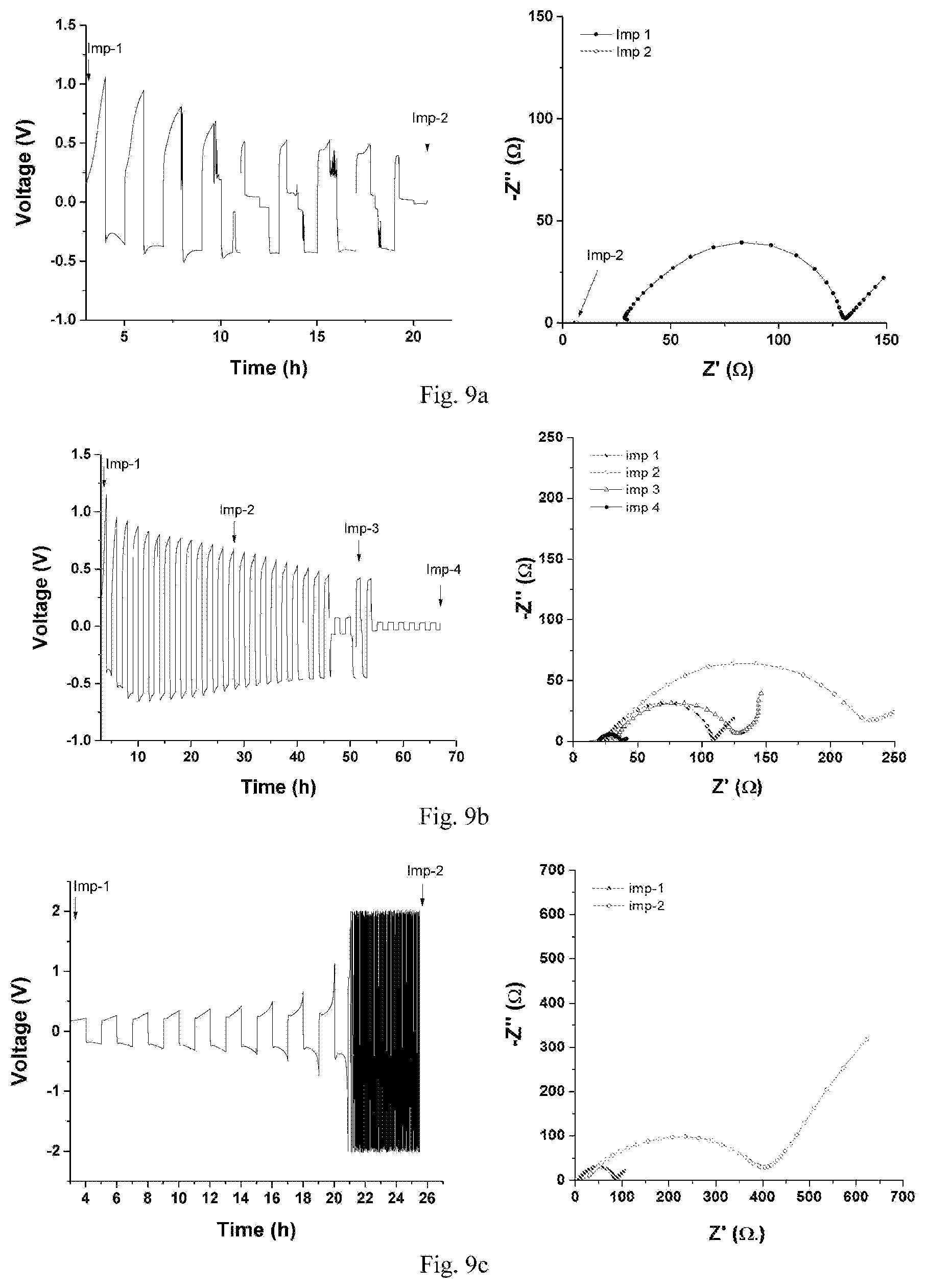 Patent US12597639 Figure 10 – Solid polymer electrolyte for batteries