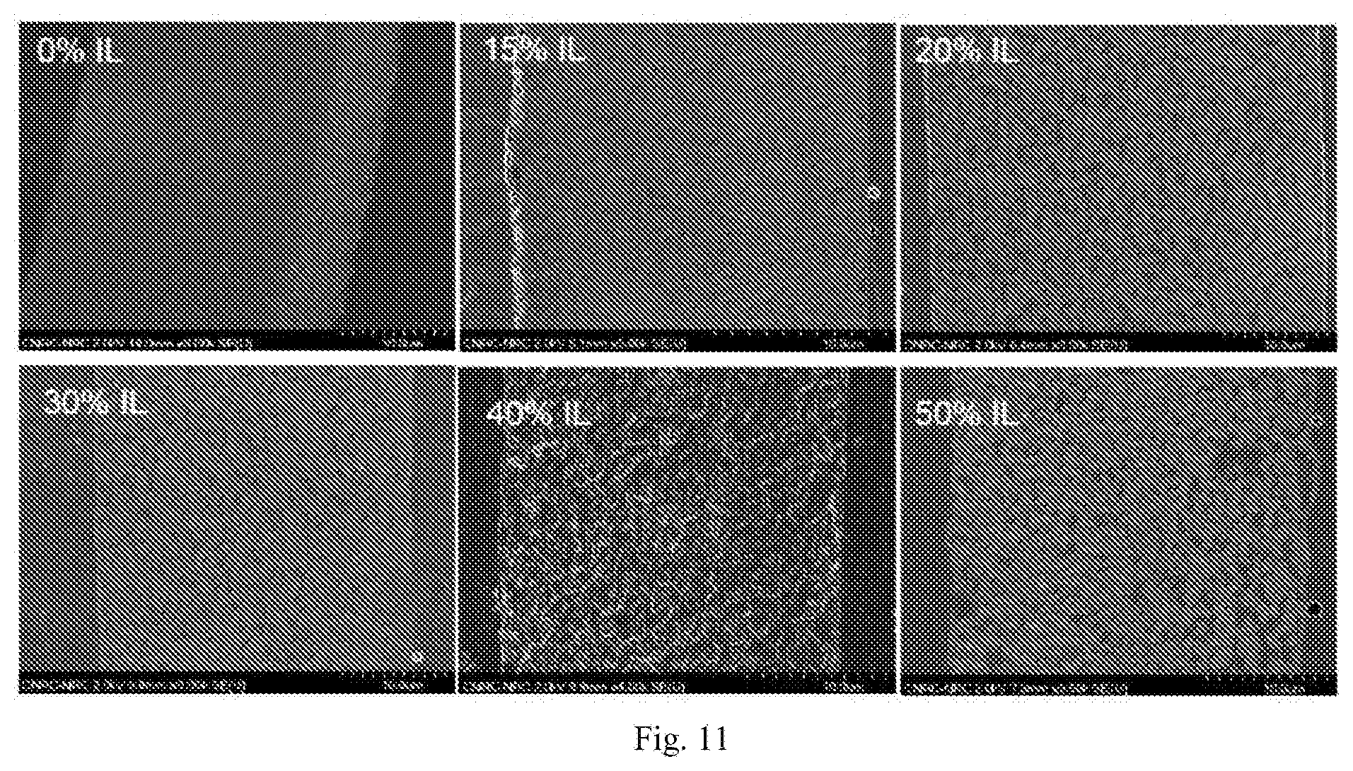 Patent US12597639 Figure 13 – Solid polymer electrolyte for batteries
