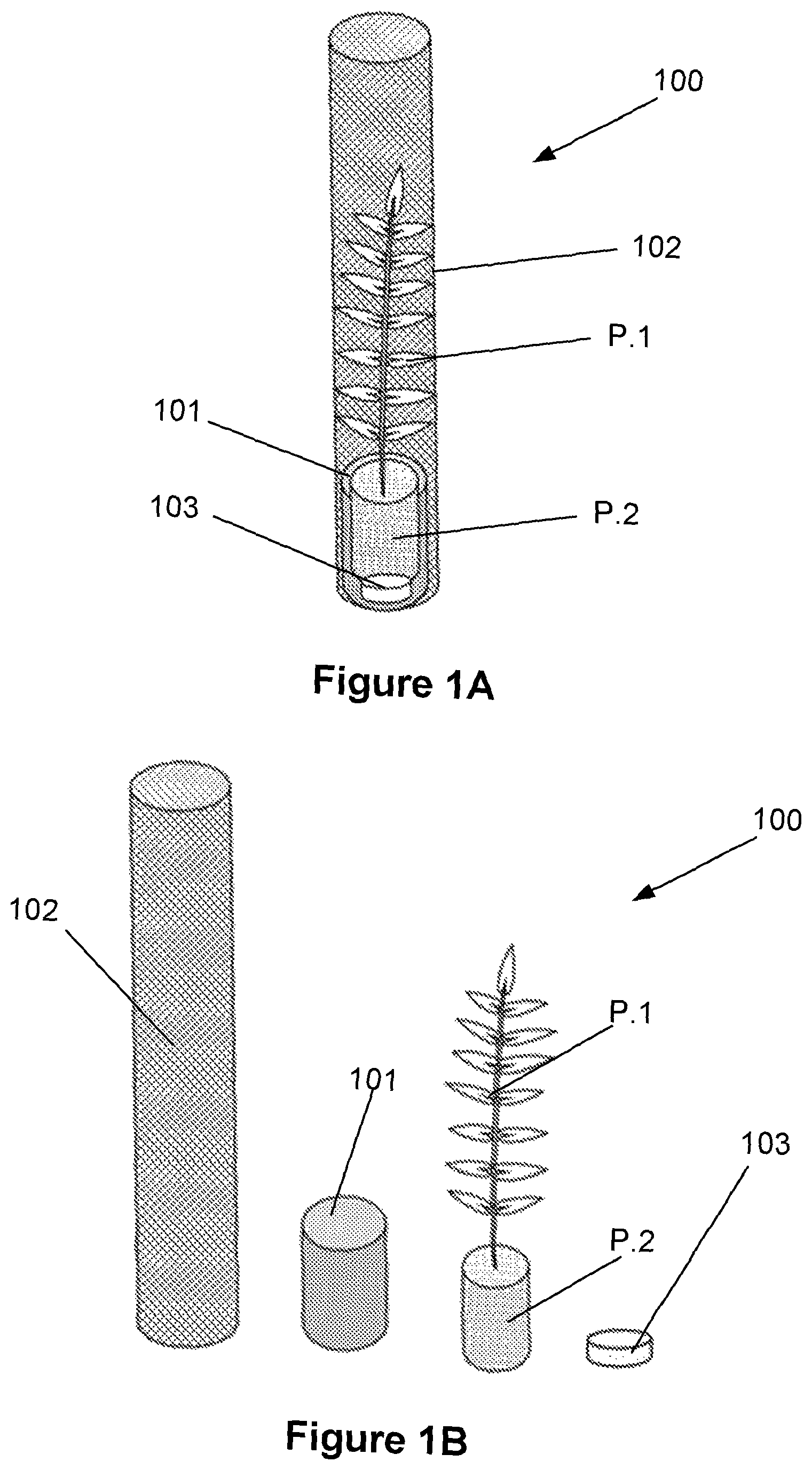 Patent US12599055 Figure 1 – Apparatus, system and method for planting