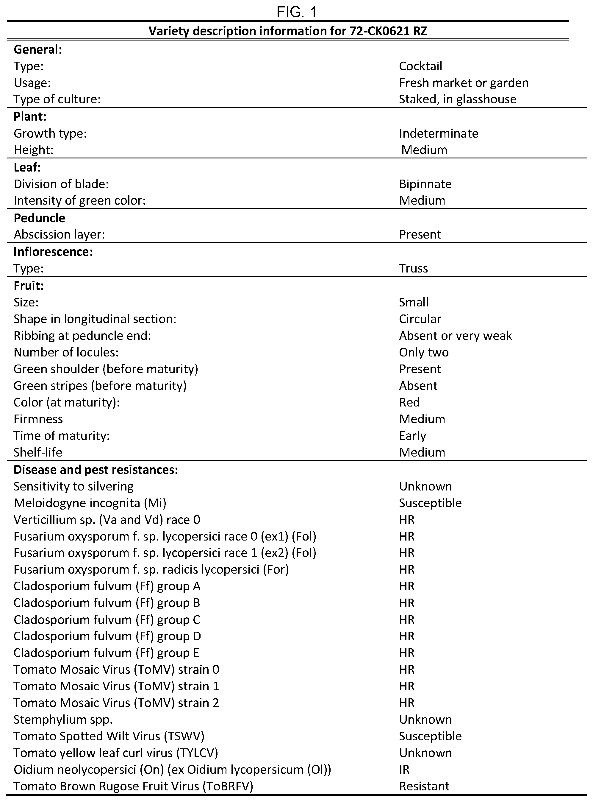 Patent US12599102 Figure 1 – Hybrid tomato variety 72-CK0621 RZ