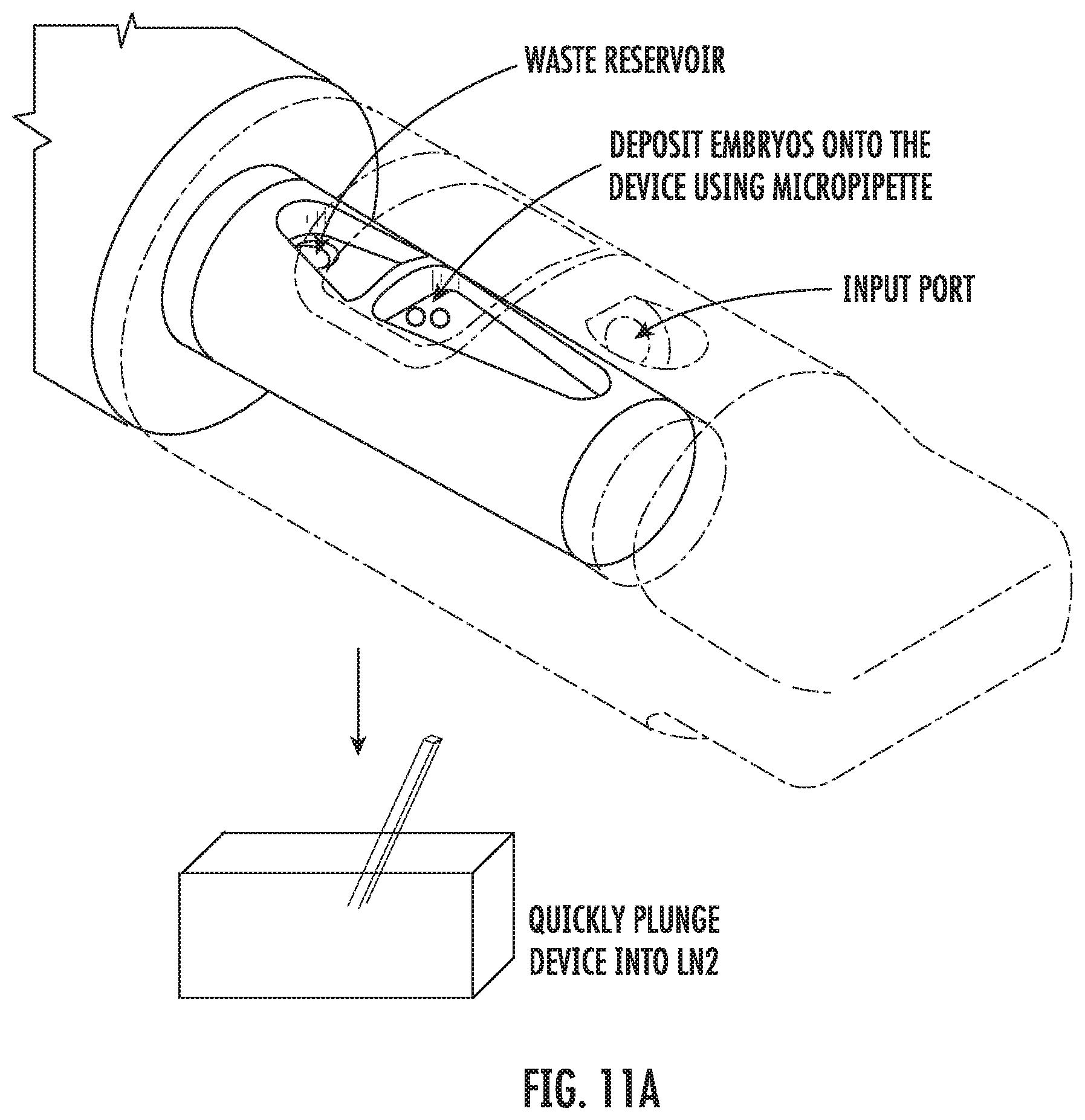Patent US12599127 Figure 10 – Vitrification device and method for preparing sample