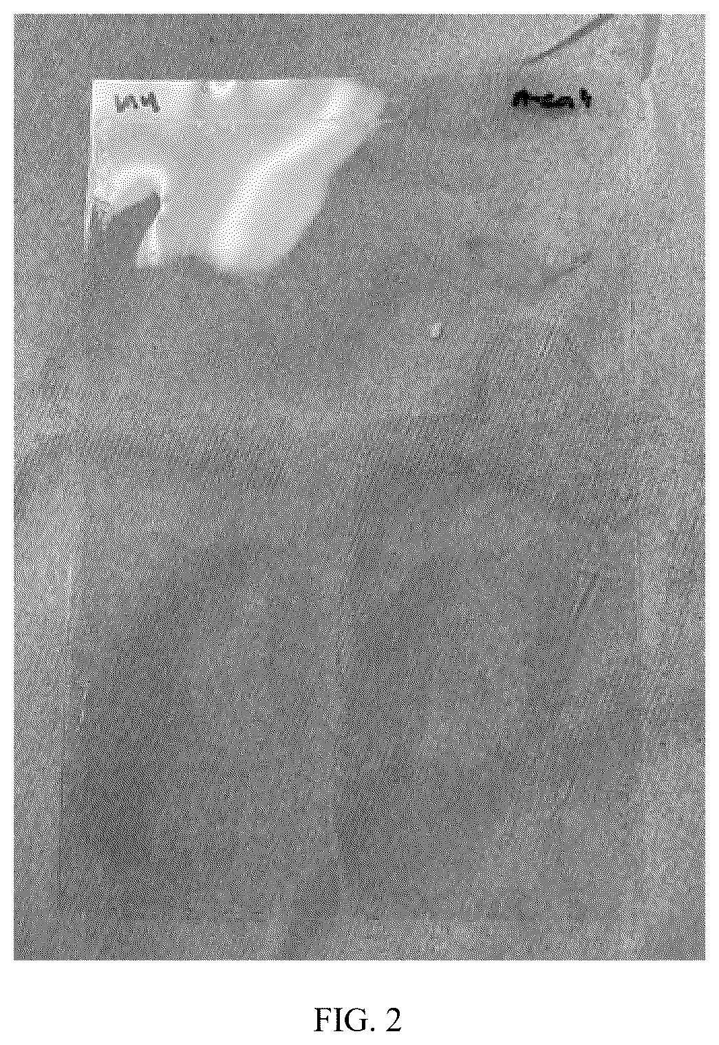 Patent US12599132 Figure 2 – Durable anti-fungal and algae resistant coatings
