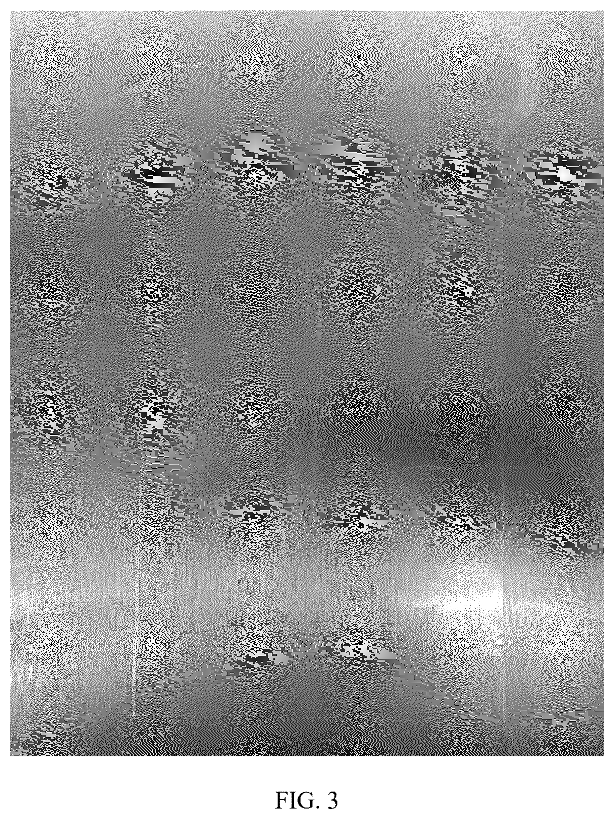 Patent US12599132 Figure 3 – Durable anti-fungal and algae resistant coatings