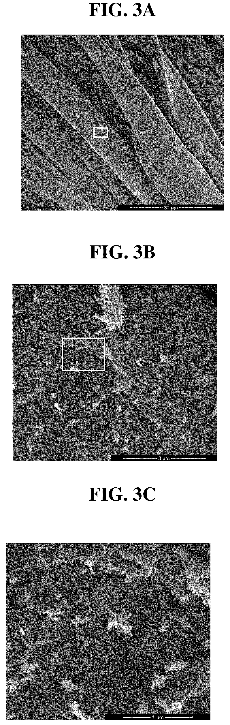 Patent US12599138 Figure 3 – Cellulosic fibers comprising internally dispersed cuprous oxide nanoparticles