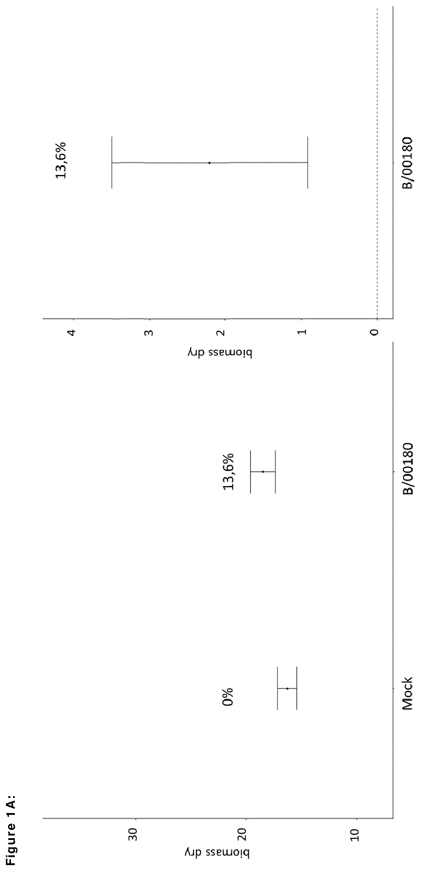 Patent US12599139 Figure 1 – Means and methods for improving plant growth and yield