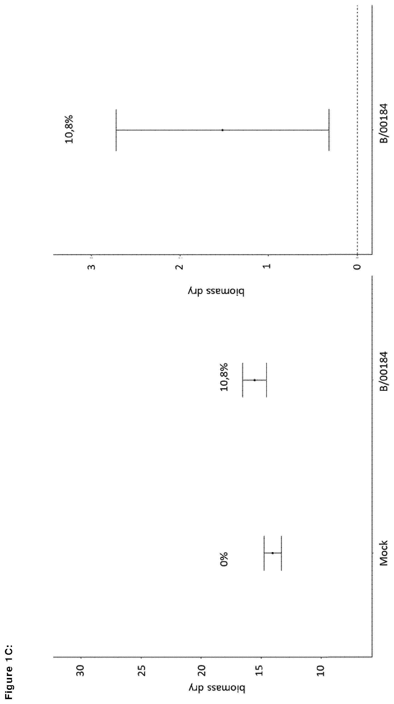 Patent US12599139 Figure 3 – Means and methods for improving plant growth and yield
