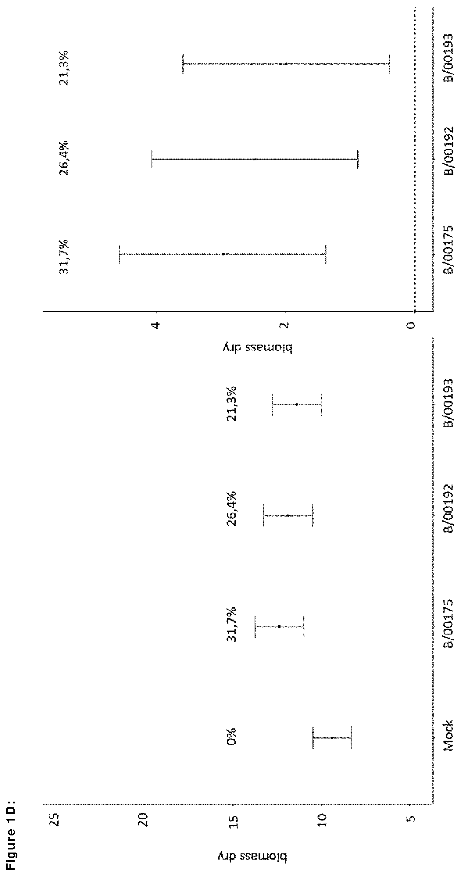 Patent US12599139 Figure 4 – Means and methods for improving plant growth and yield