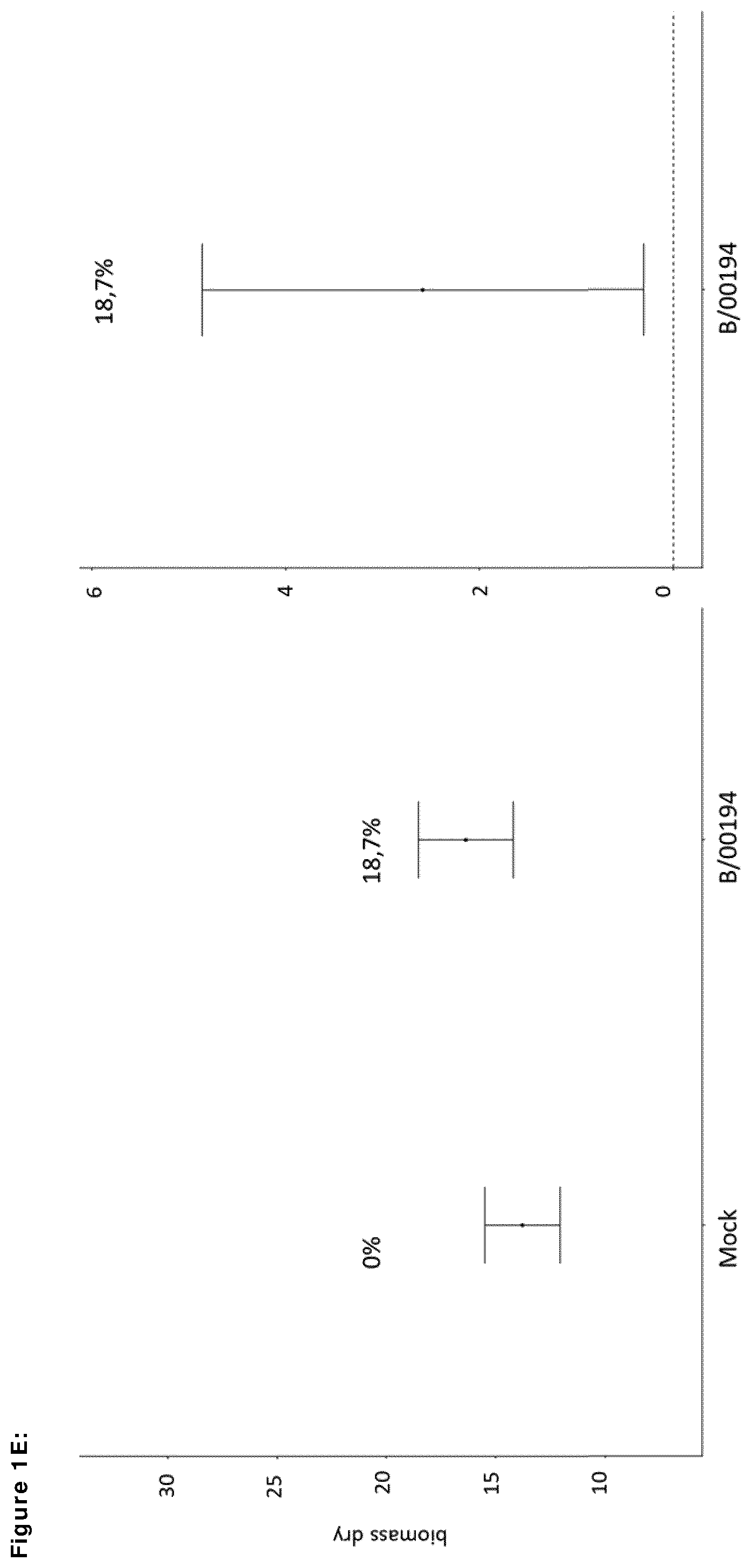 Patent US12599139 Figure 5 – Means and methods for improving plant growth and yield