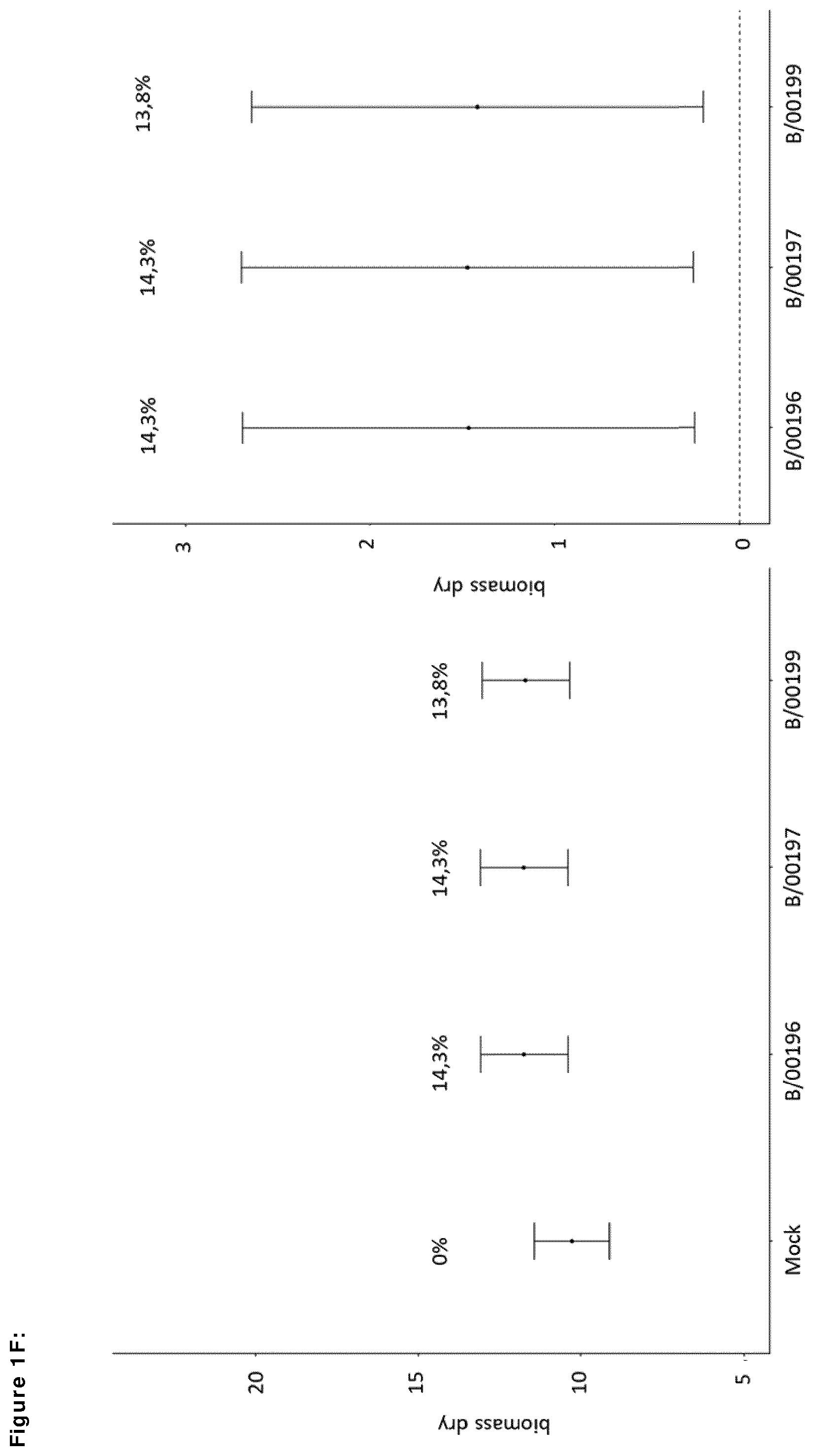 Patent US12599139 Figure 6 – Means and methods for improving plant growth and yield