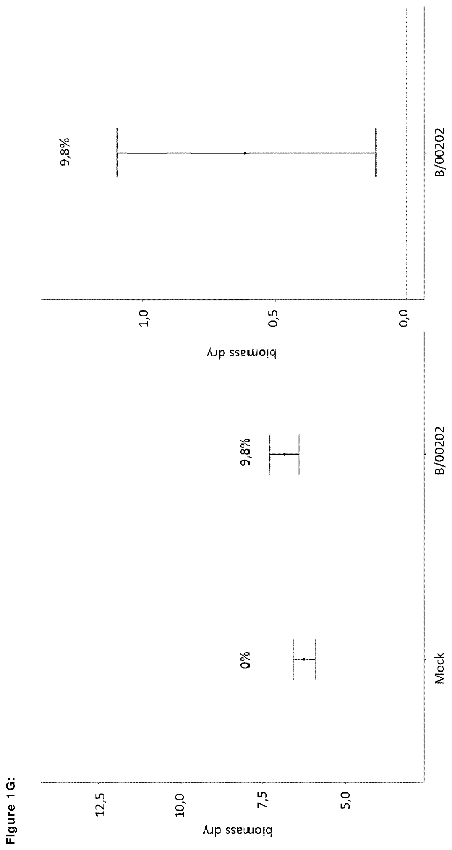 Patent US12599139 Figure 7 – Means and methods for improving plant growth and yield