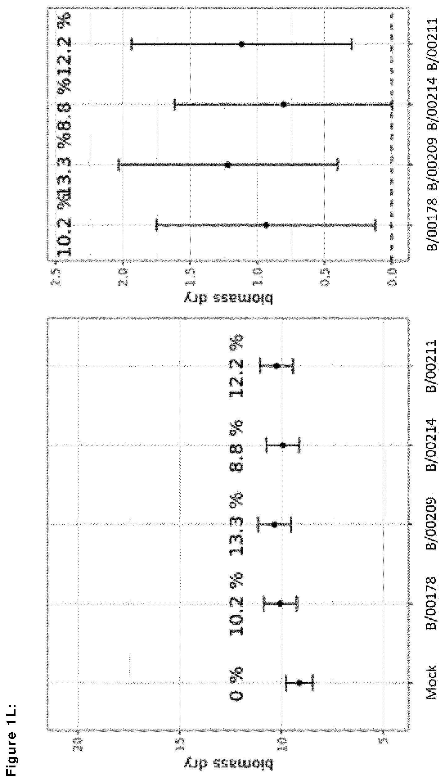 Patent US12599139 Figure 12 – Means and methods for improving plant growth and yield