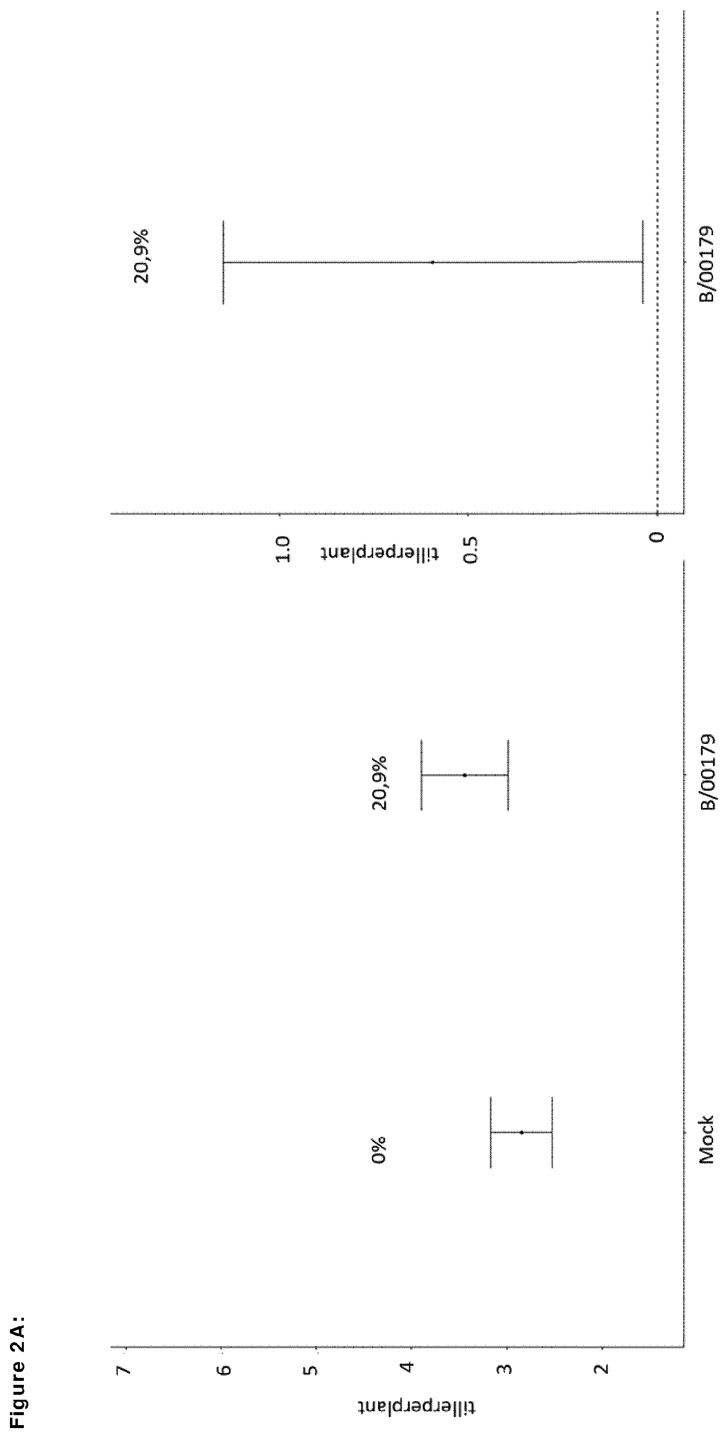 Patent US12599139 Figure 13 – Means and methods for improving plant growth and yield