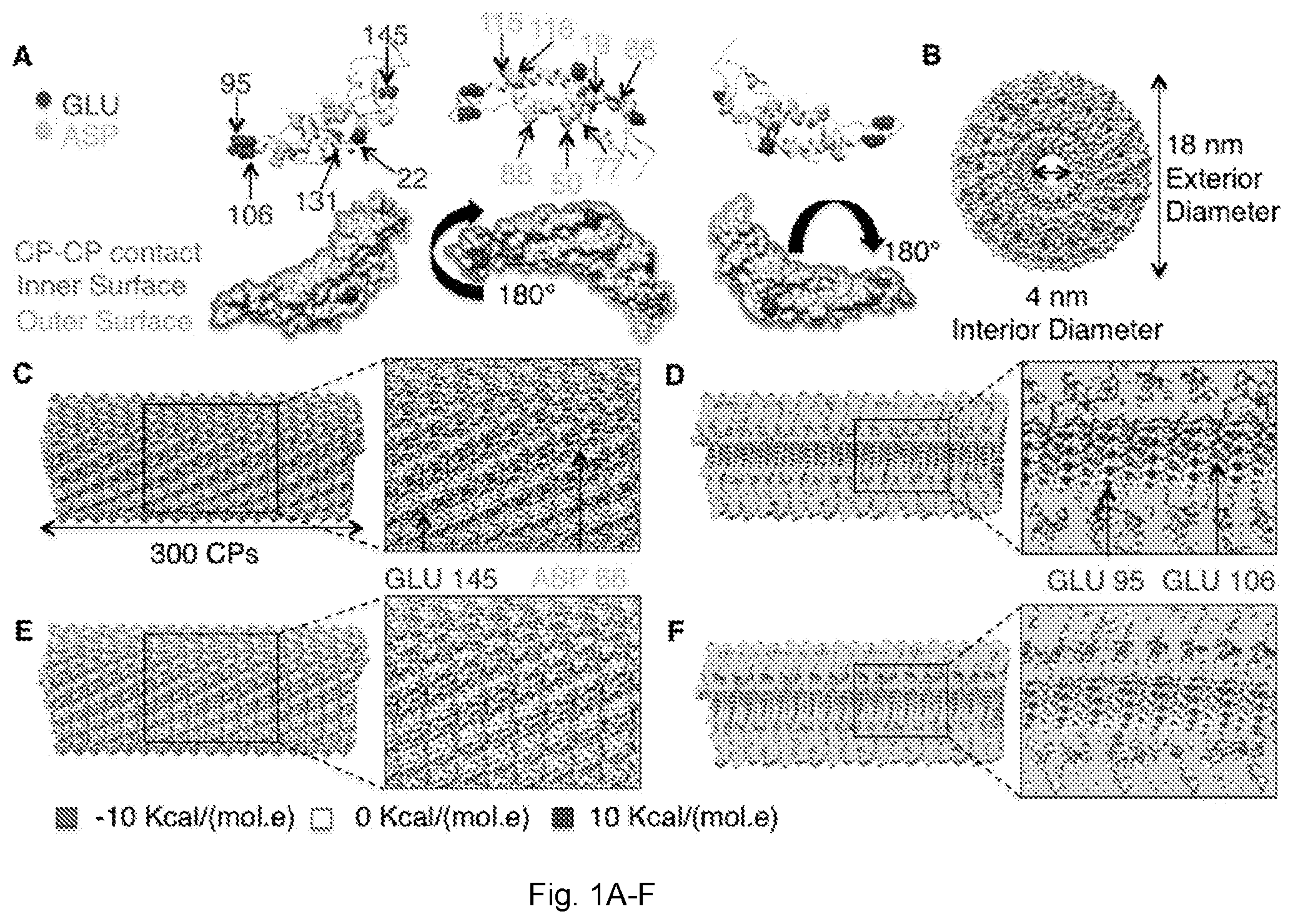 Patent US12599141 Figure 1 – Rod-shaped plant viral nanoparticles or virus-like particles for agricultural applications