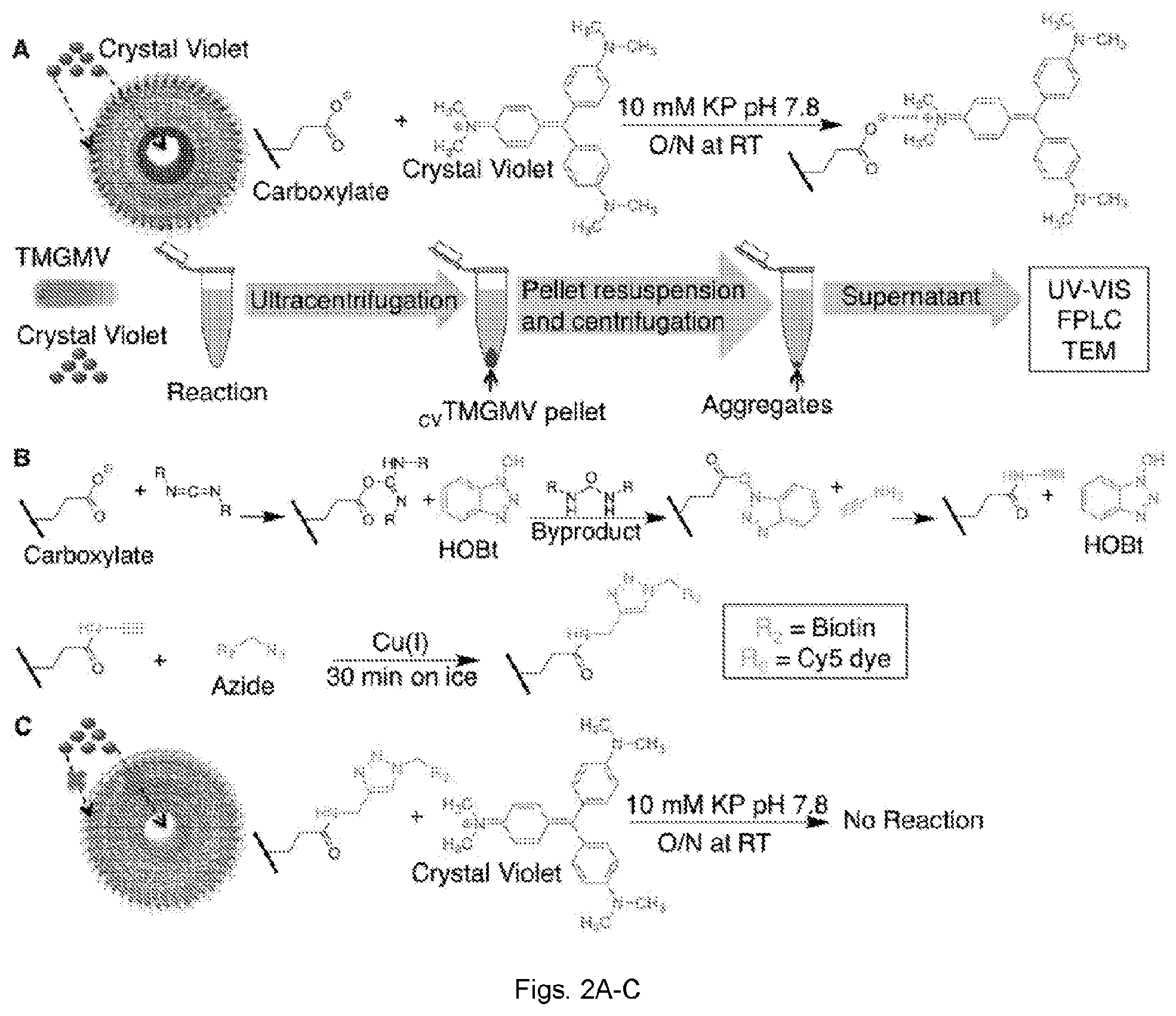 Patent US12599141 Figure 2 – Rod-shaped plant viral nanoparticles or virus-like particles for agricultural applications