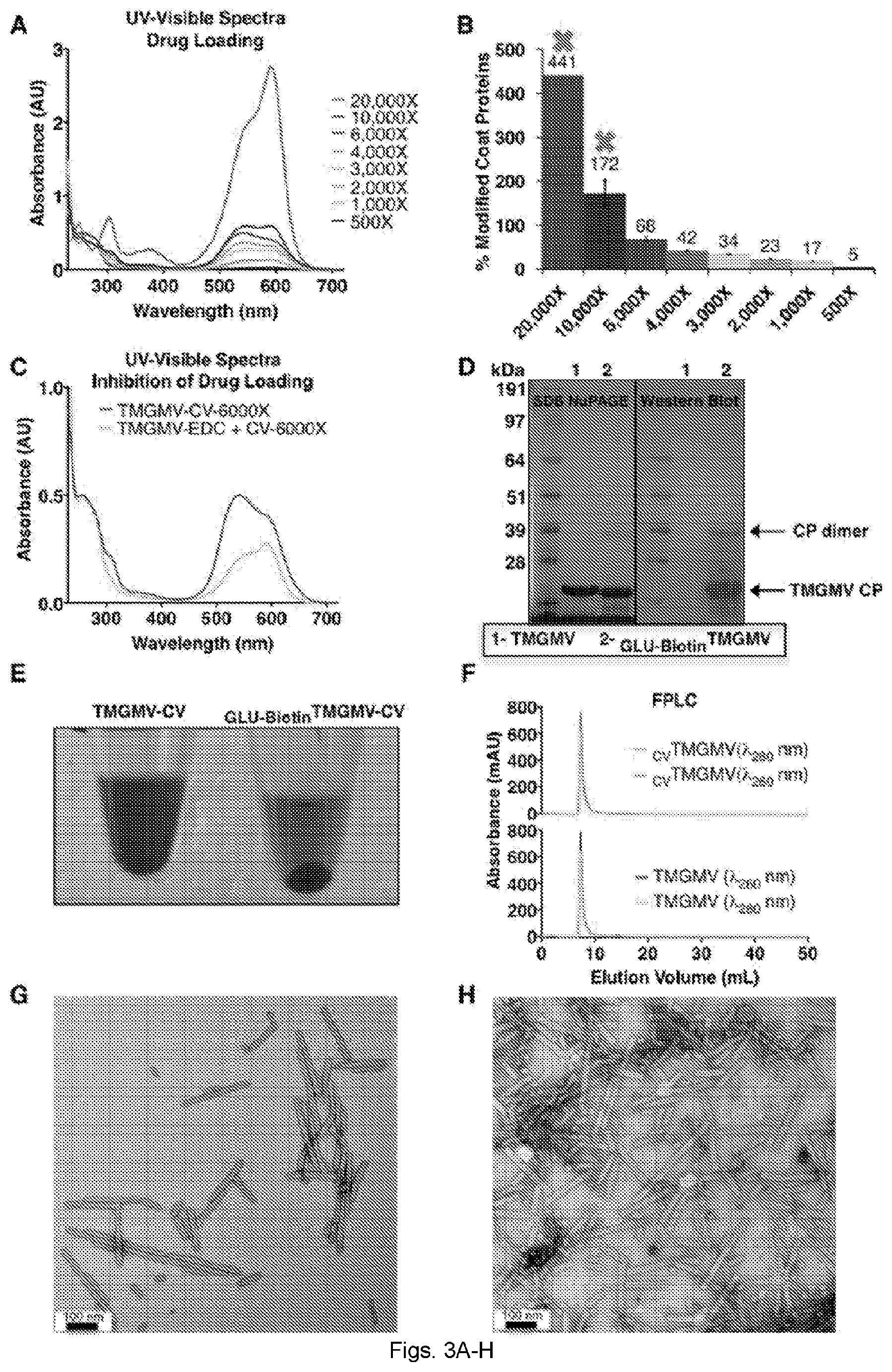 Patent US12599141 Figure 3 – Rod-shaped plant viral nanoparticles or virus-like particles for agricultural applications