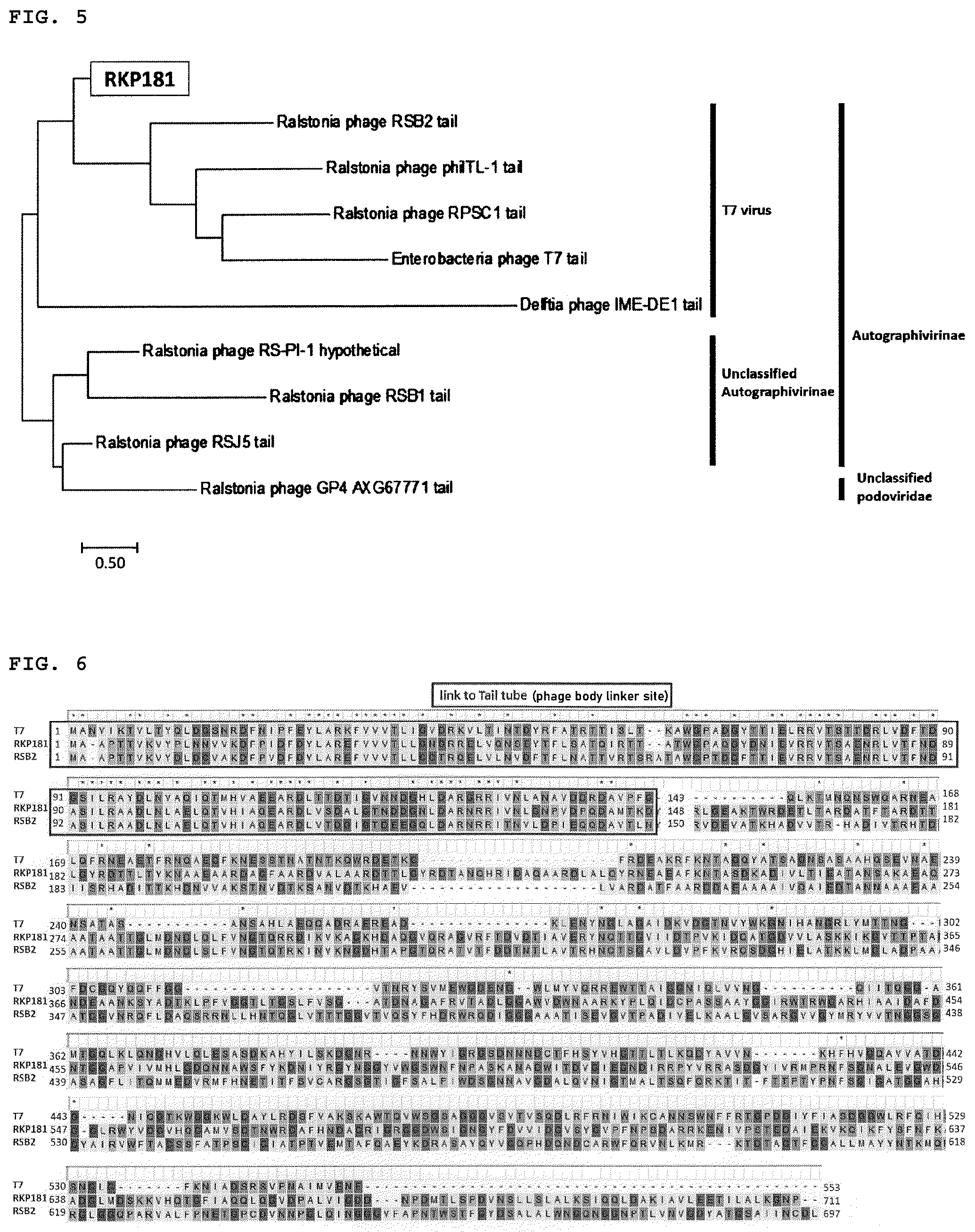 Patent US12599142 Figure 3 – Bacteriophage, bacterial wilt disease control agent, and bacterial wilt disease control method