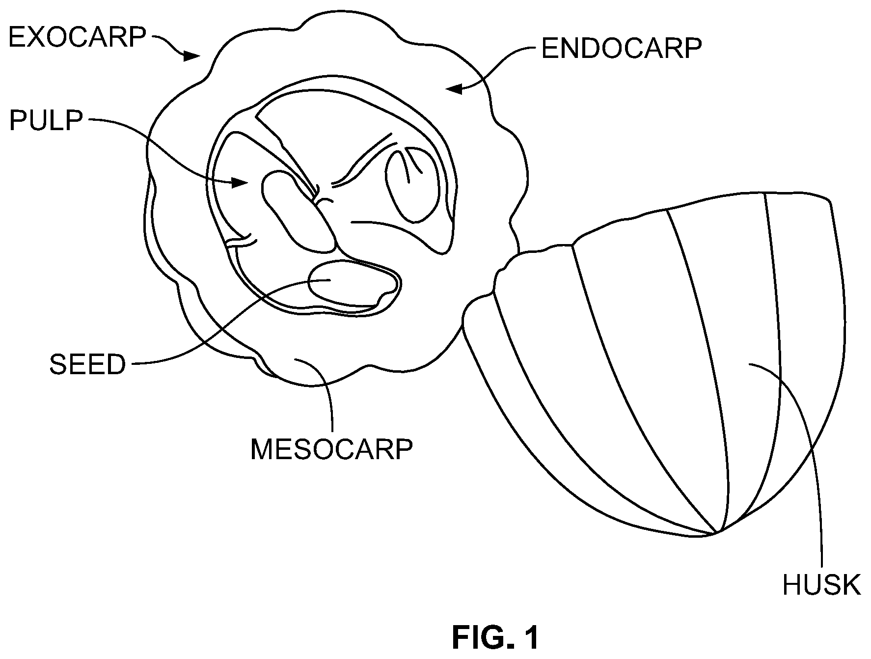 Patent US12599146 — Preparation of fat-based confections — Figure 1