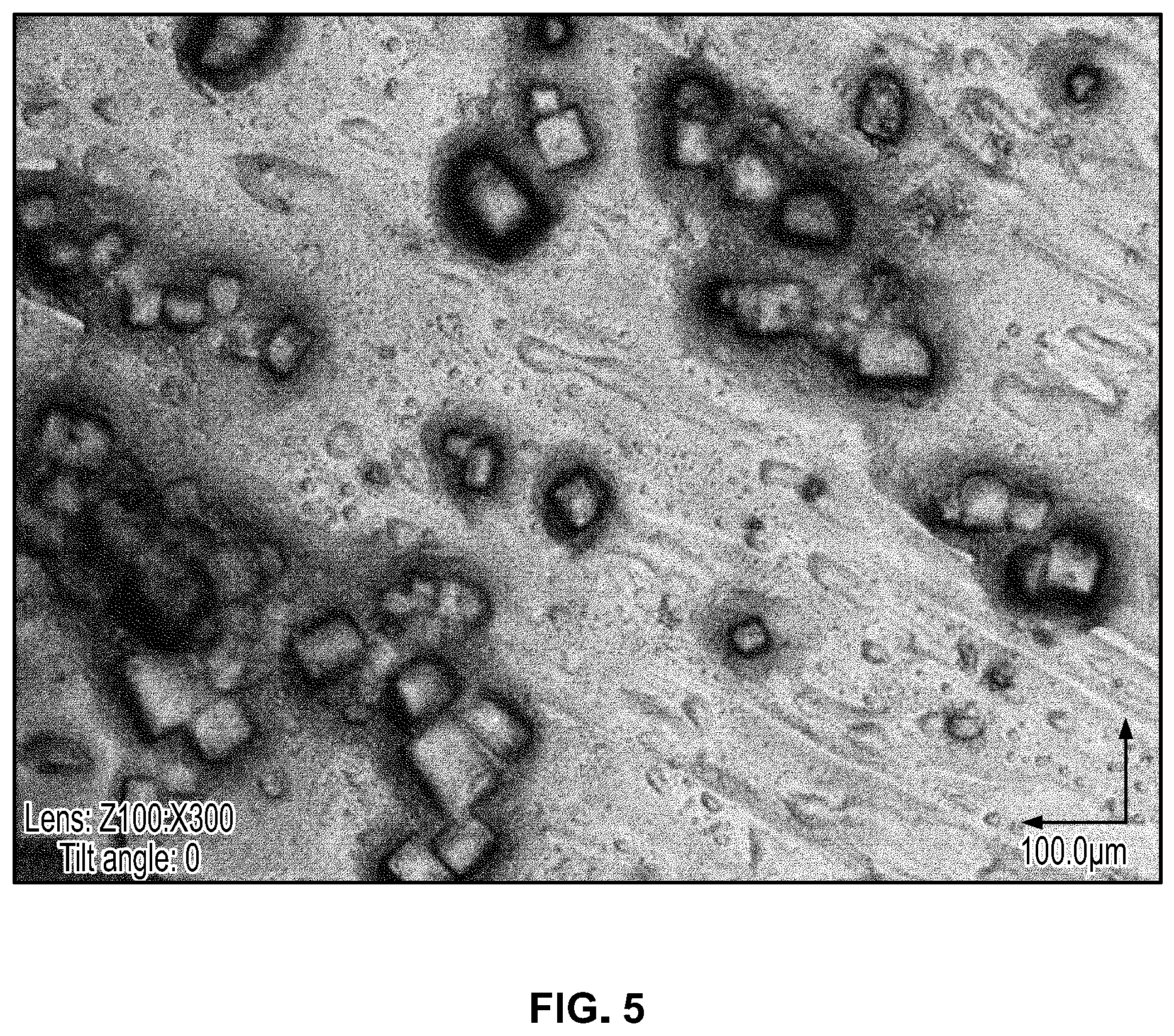 Patent US12599146 Figure 5 – Preparation of fat-based confections