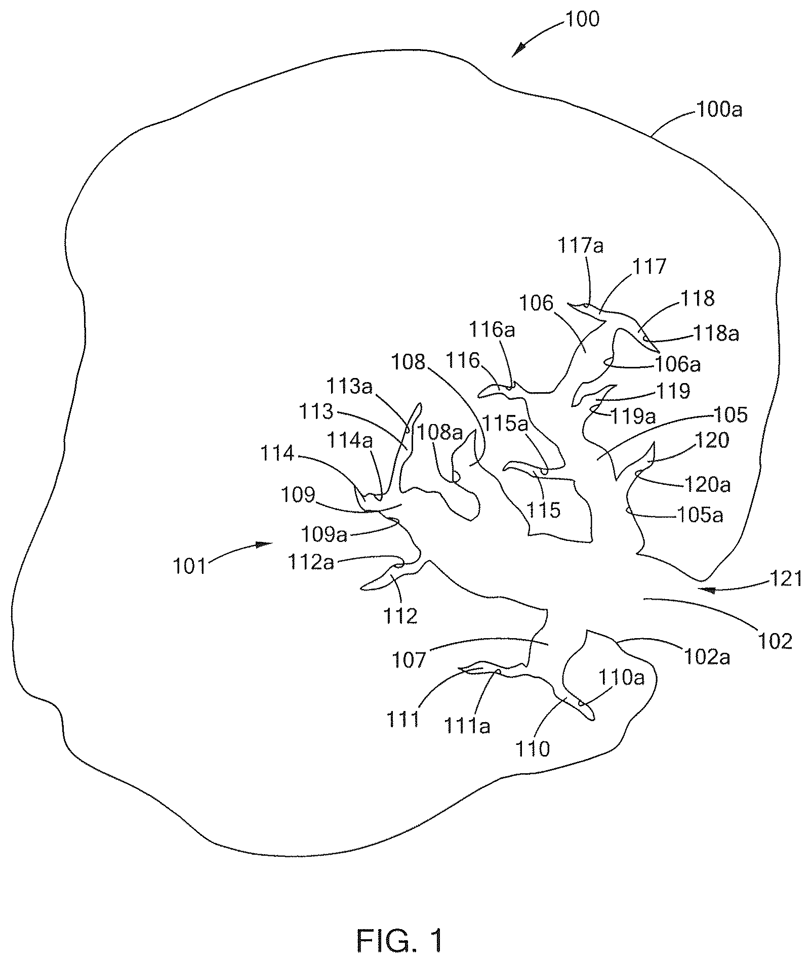 Patent US12599151 Figure 1 – Biochars, biochar extracts and biochar extracts having soluble signaling compounds and method for capturing material extracted from biochar