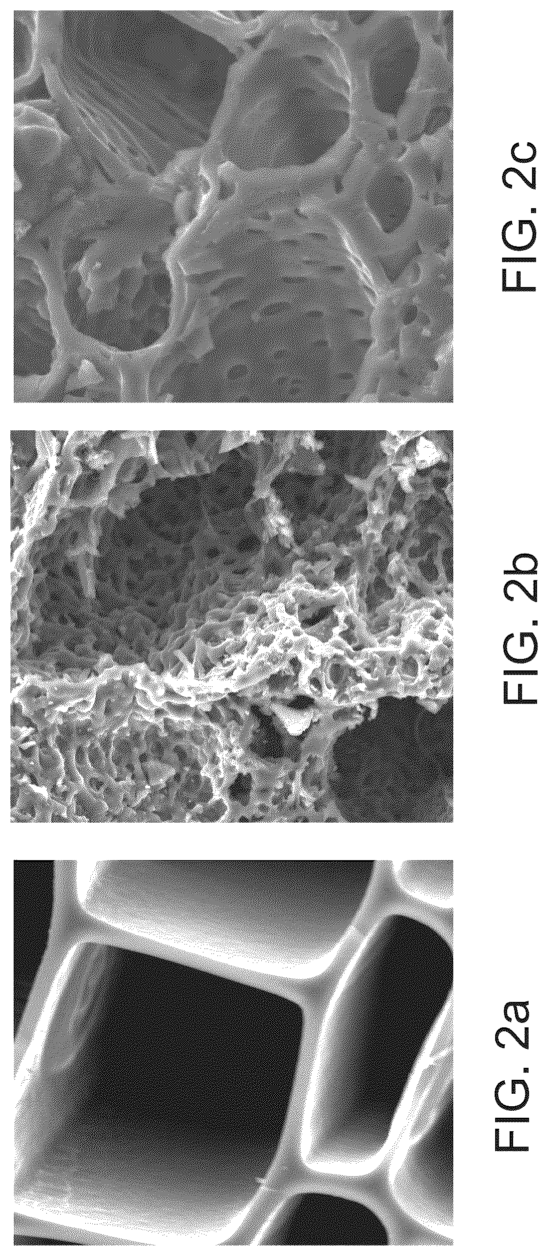 Patent US12599151 Figure 2 – Biochars, biochar extracts and biochar extracts having soluble signaling compounds and method for capturing material extracted from biochar