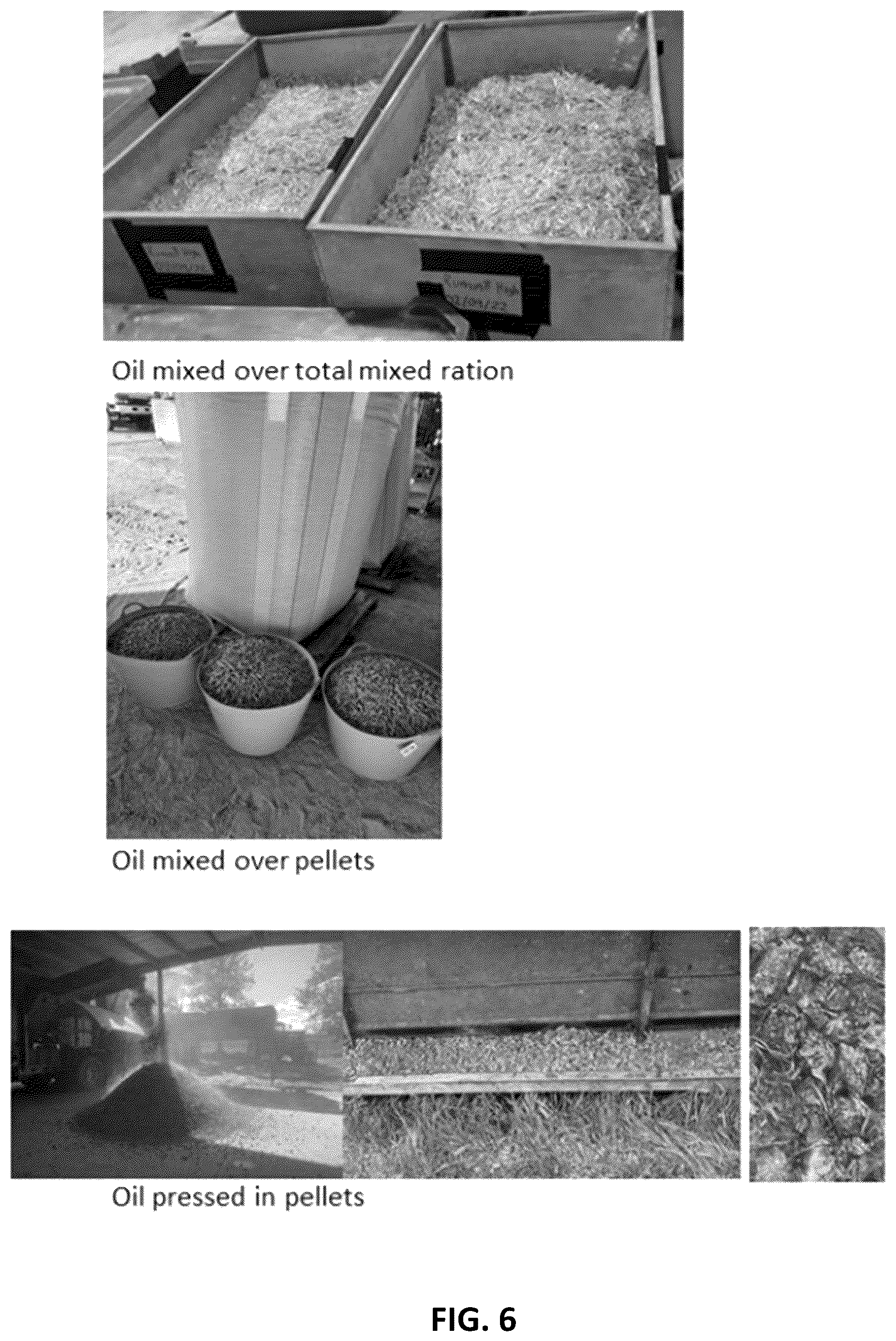 Patent US12599153 Figure 6 – Compositions and methods for reducing greenhouse gas