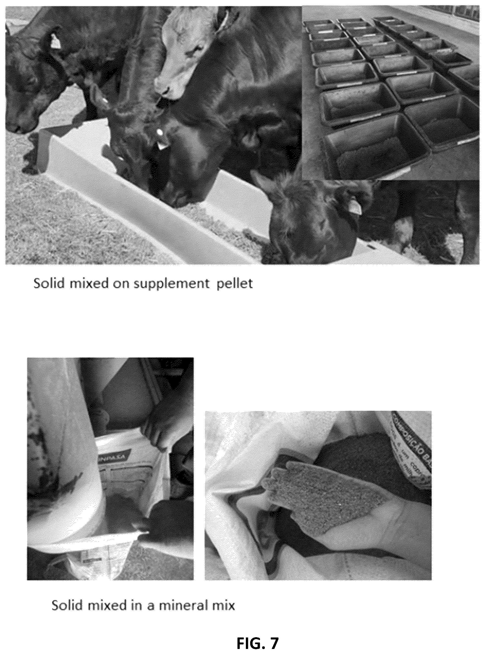 Patent US12599153 Figure 7 – Compositions and methods for reducing greenhouse gas