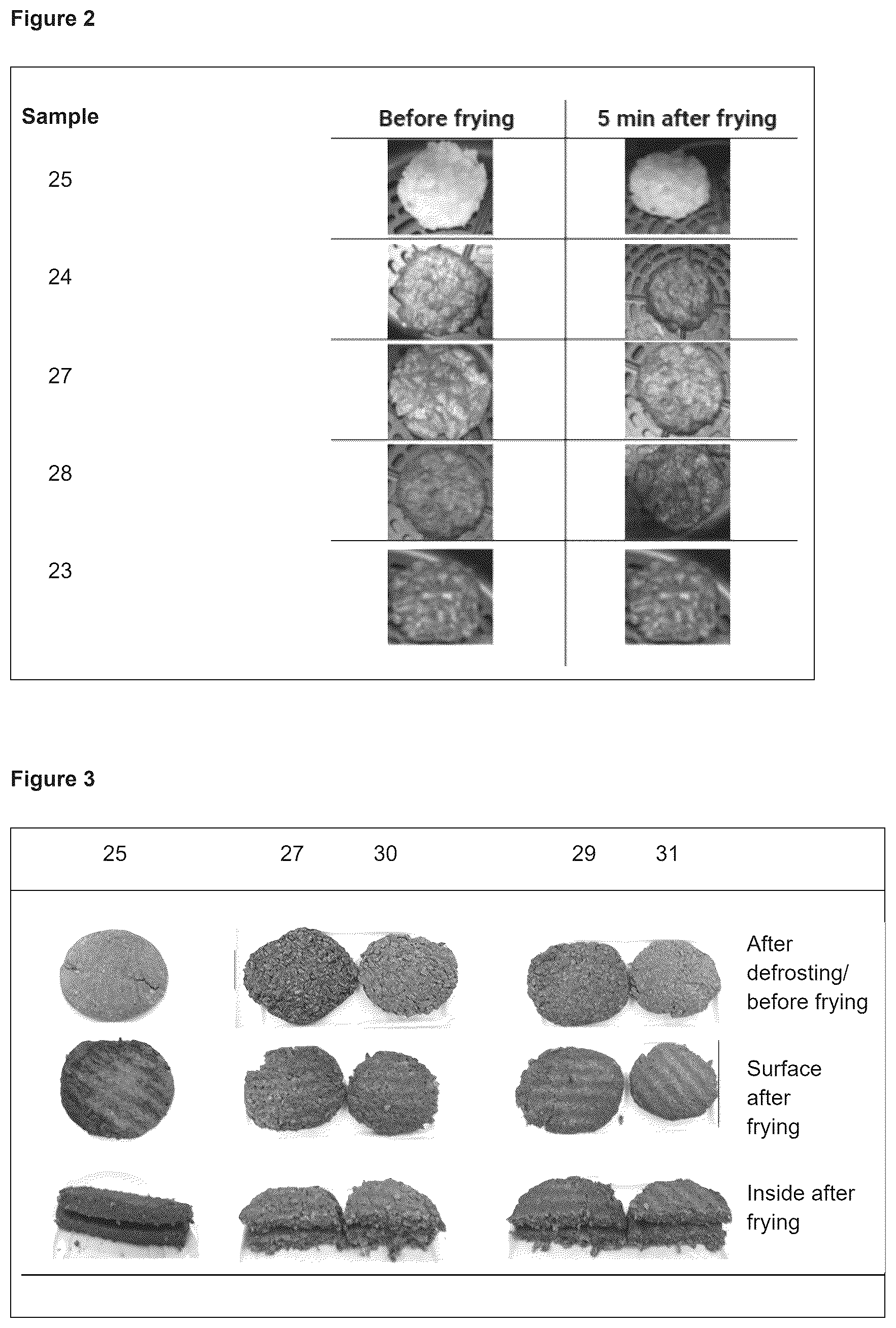Patent US12599156 Figure 2 – Colouring compositions