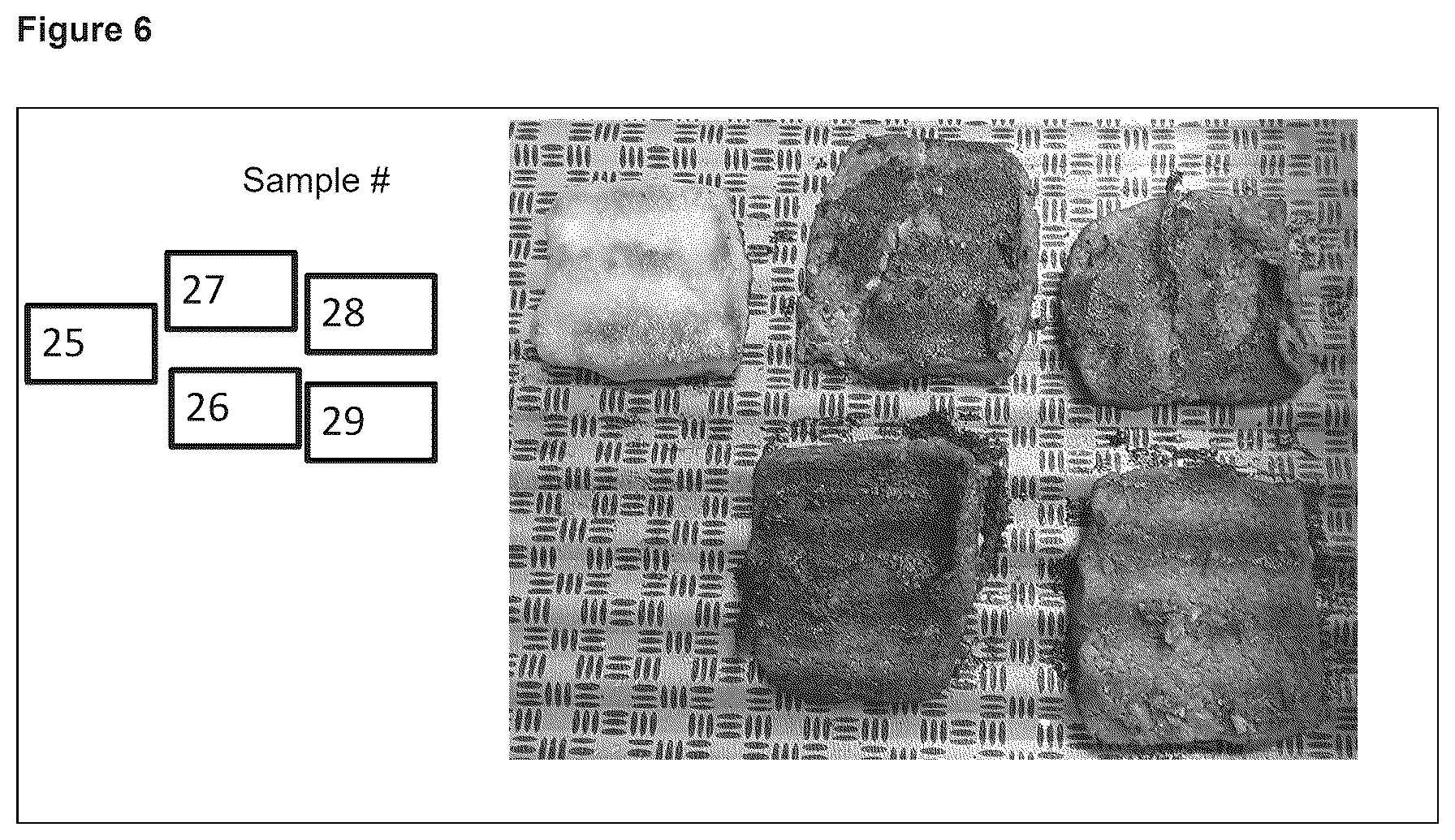 Patent US12599156 Figure 4 – Colouring compositions
