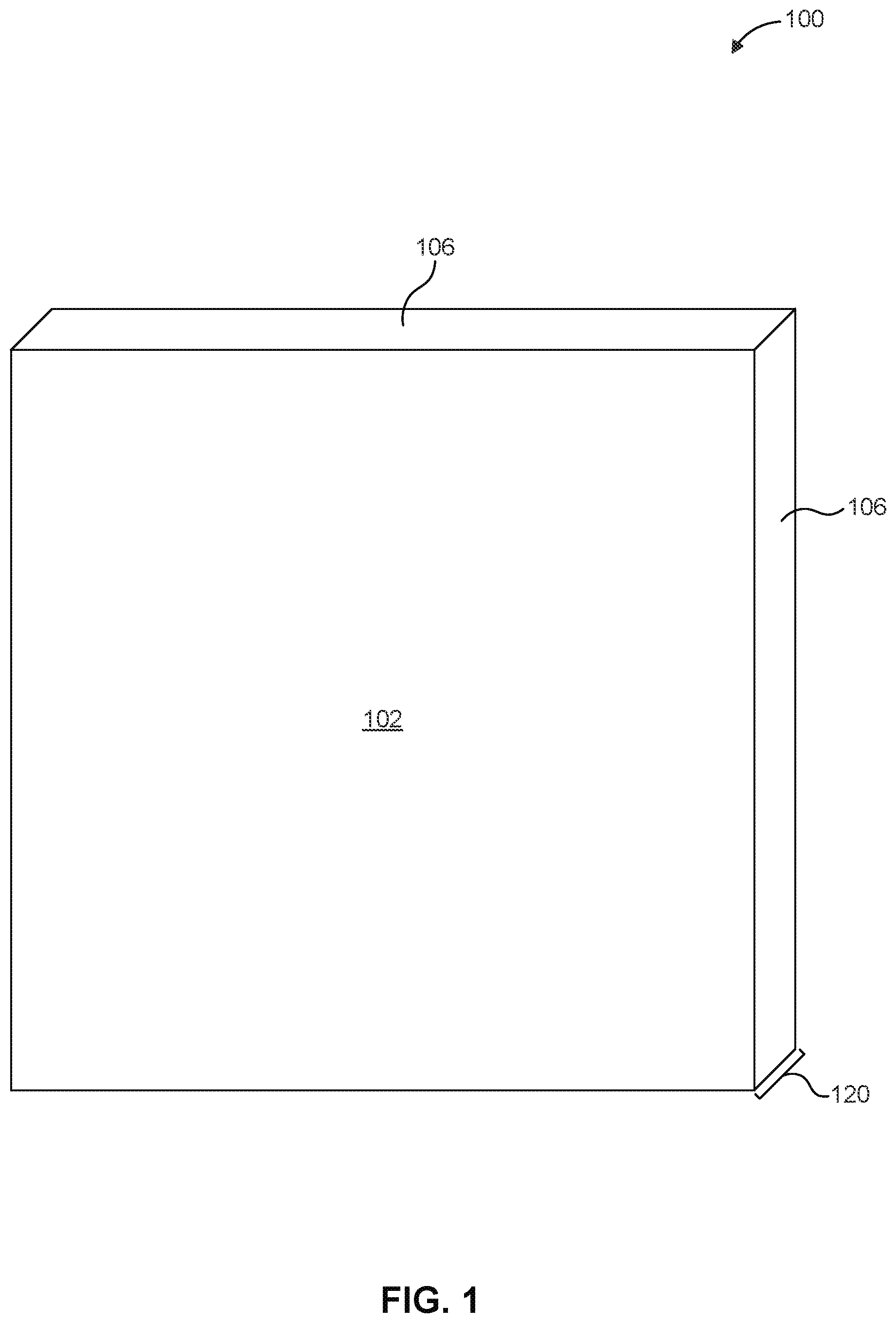 Patent US12599254 — Image display — Figure 1