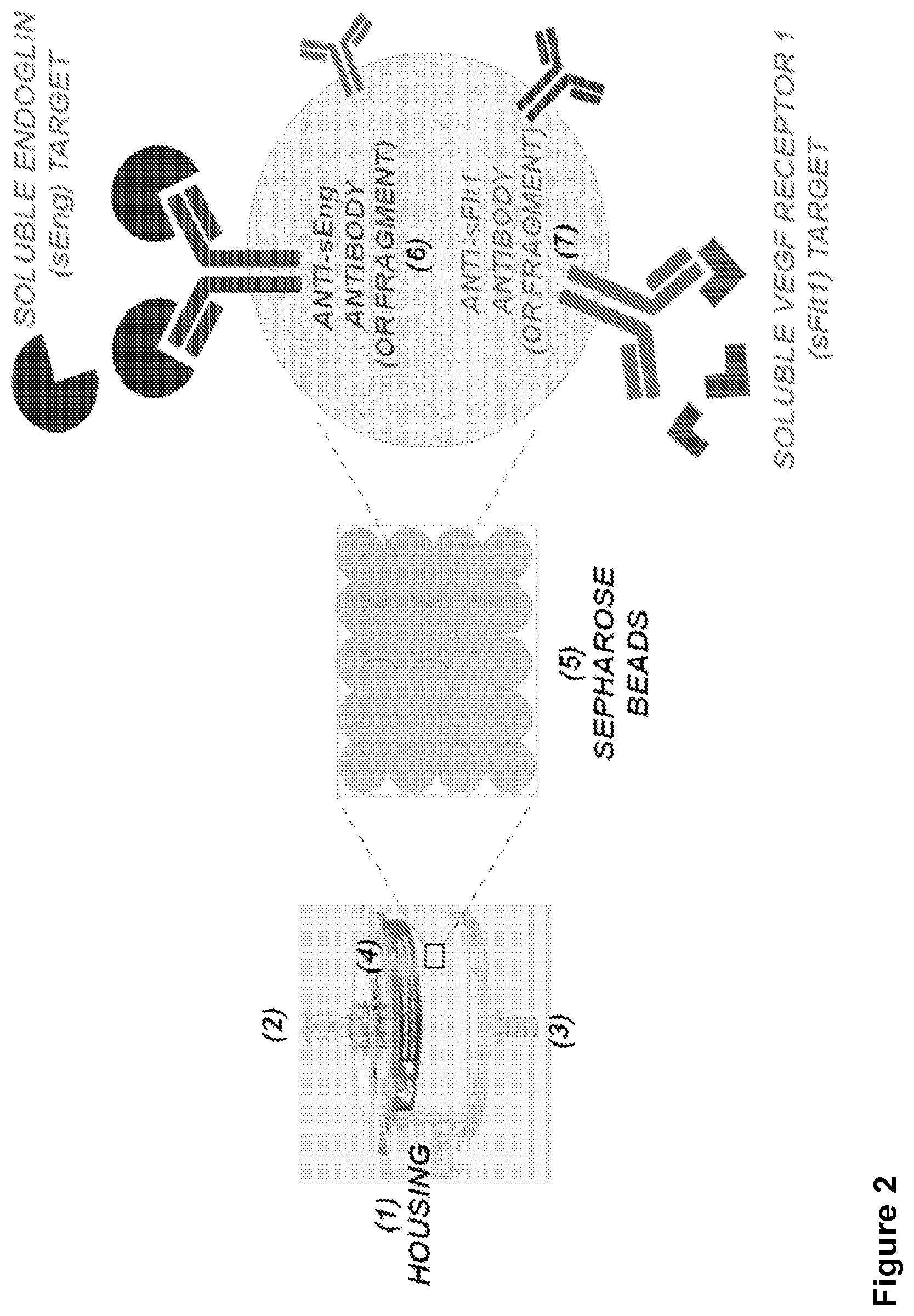 Patent US12599323 Figure 2 – Methods and systems for treating pregnancy-related hypertensive disorders comprising anti-sEng and anti-sFlt-1 antibodies