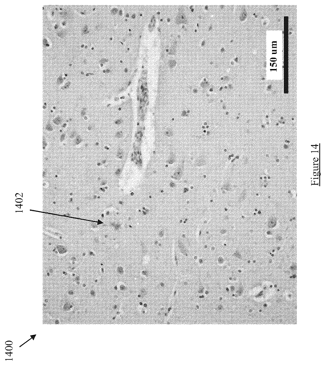 Patent US12599331 Figure 14 – Hyperspectral image-guided ocular imager for Alzheimer's Disease pathologies