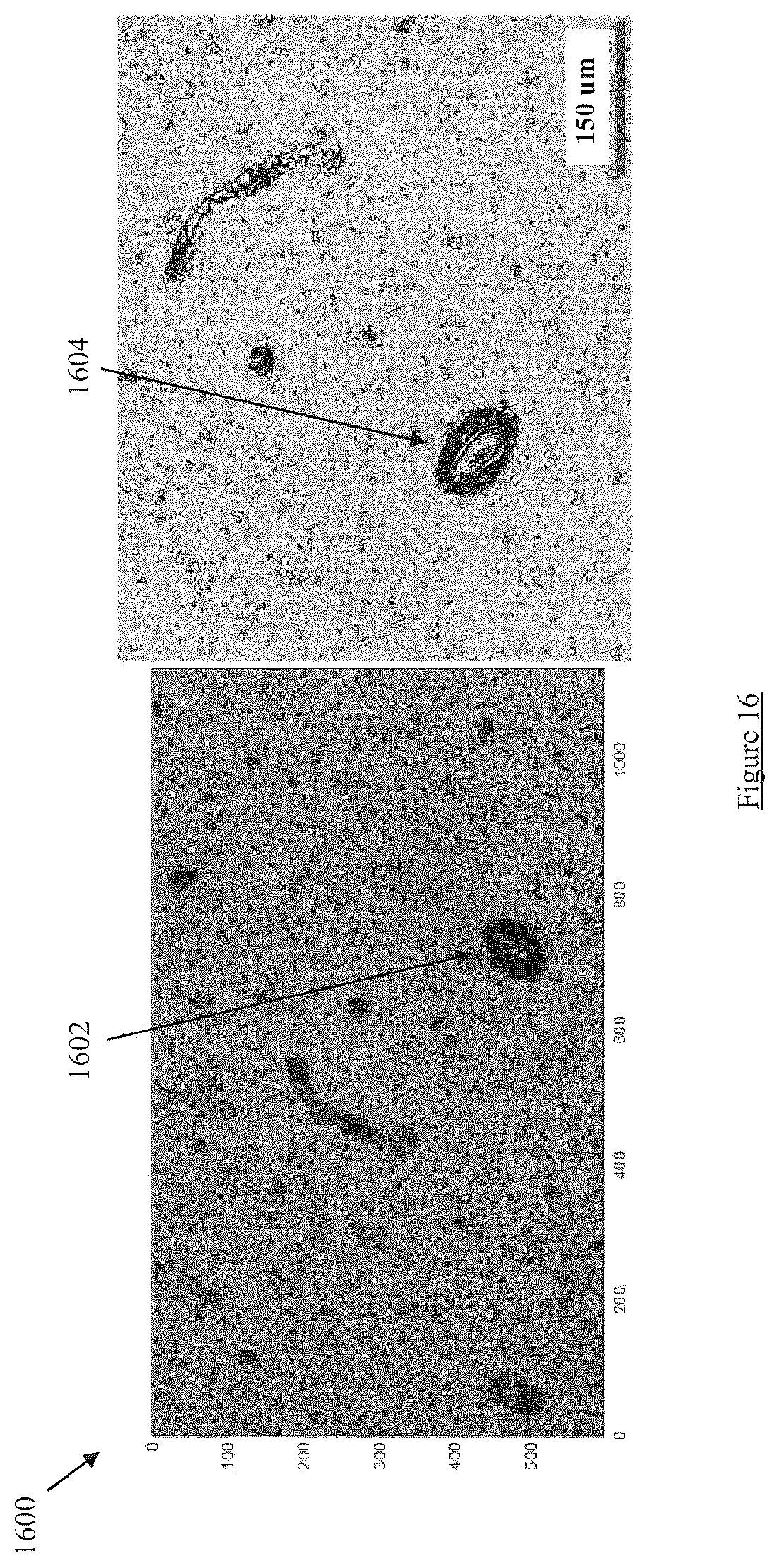 Patent US12599331 Figure 16 – Hyperspectral image-guided ocular imager for Alzheimer's Disease pathologies