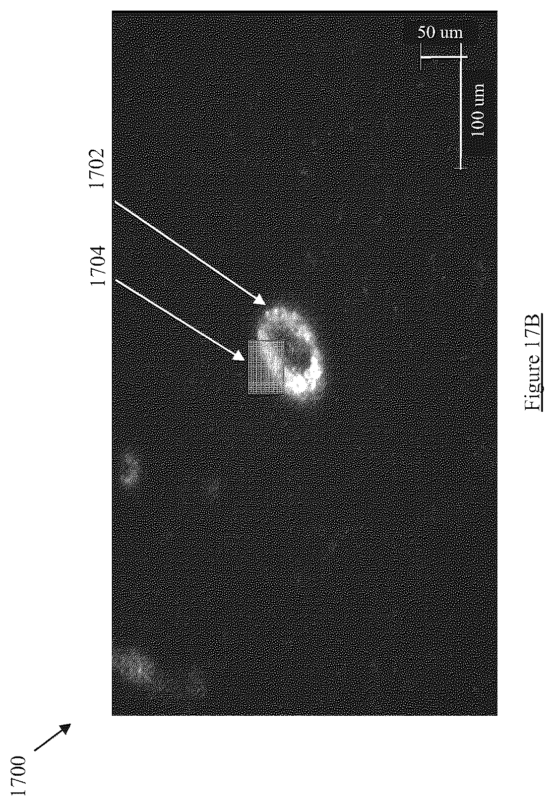 Patent US12599331 Figure 18 – Hyperspectral image-guided ocular imager for Alzheimer's Disease pathologies