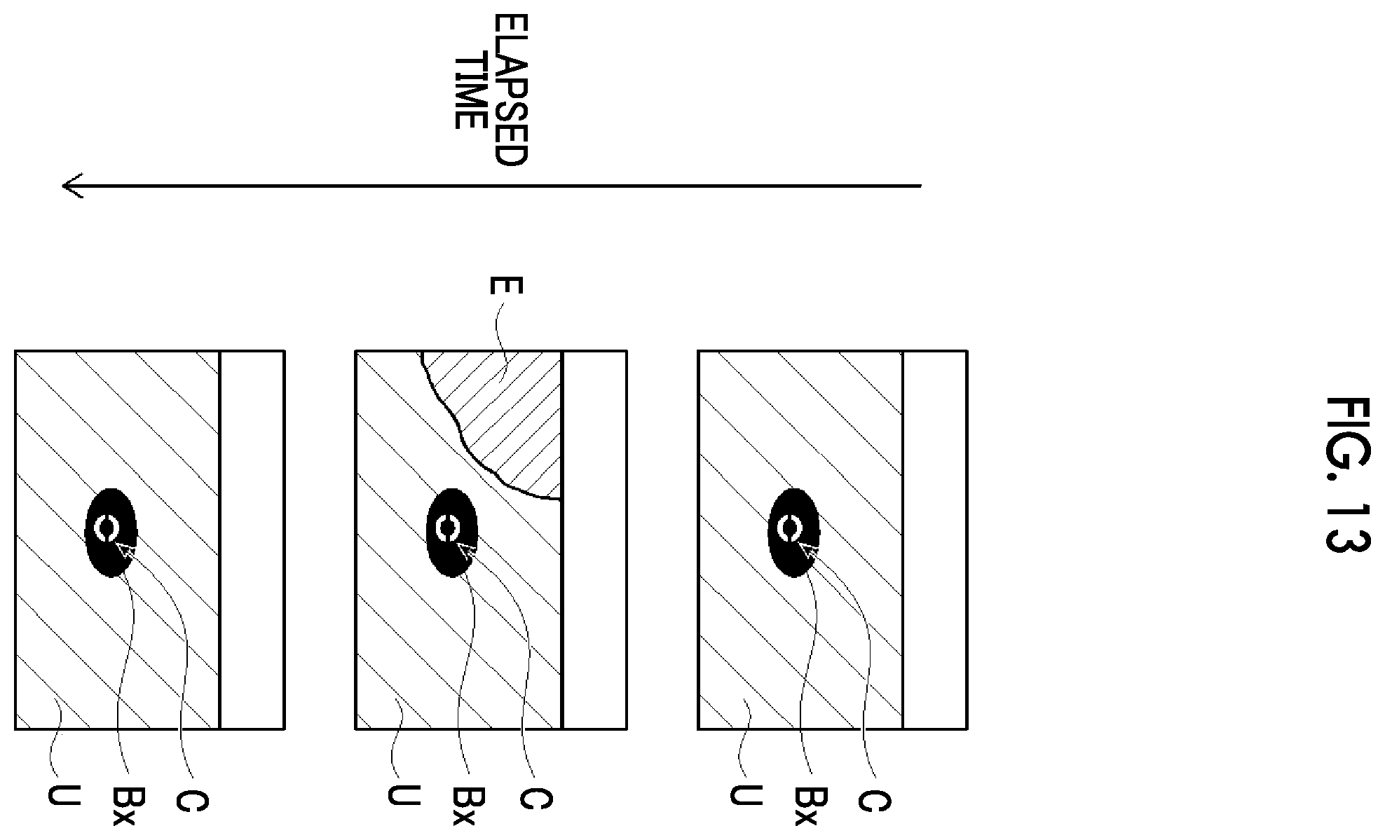 Patent US12599359 Figure 9 – Ultrasound diagnostic apparatus and method of controlling ultrasound diagnostic apparatus