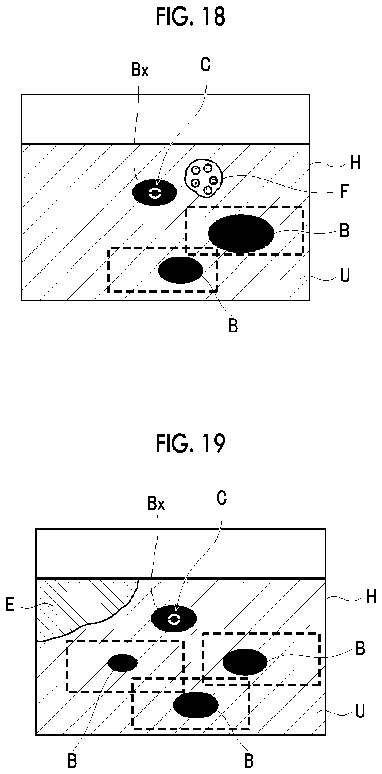 Patent US12599359 Figure 12 – Ultrasound diagnostic apparatus and method of controlling ultrasound diagnostic apparatus