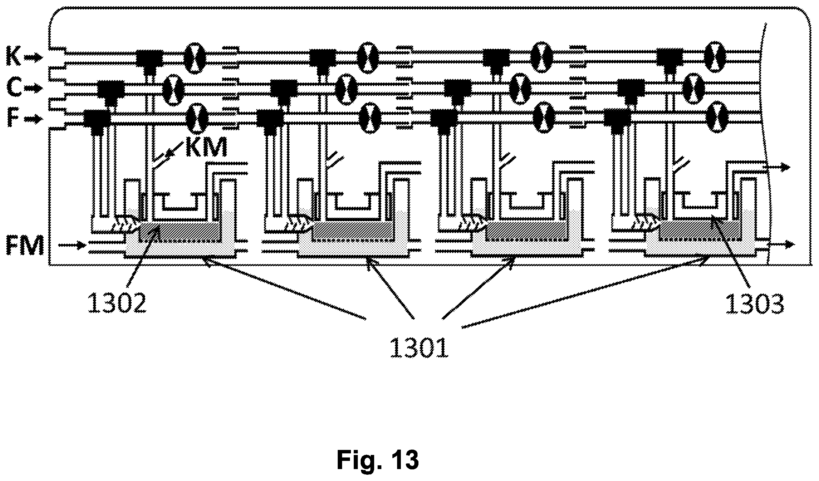 Patent US12599401 Figure 11 – Methods and systems for producing skin grafts