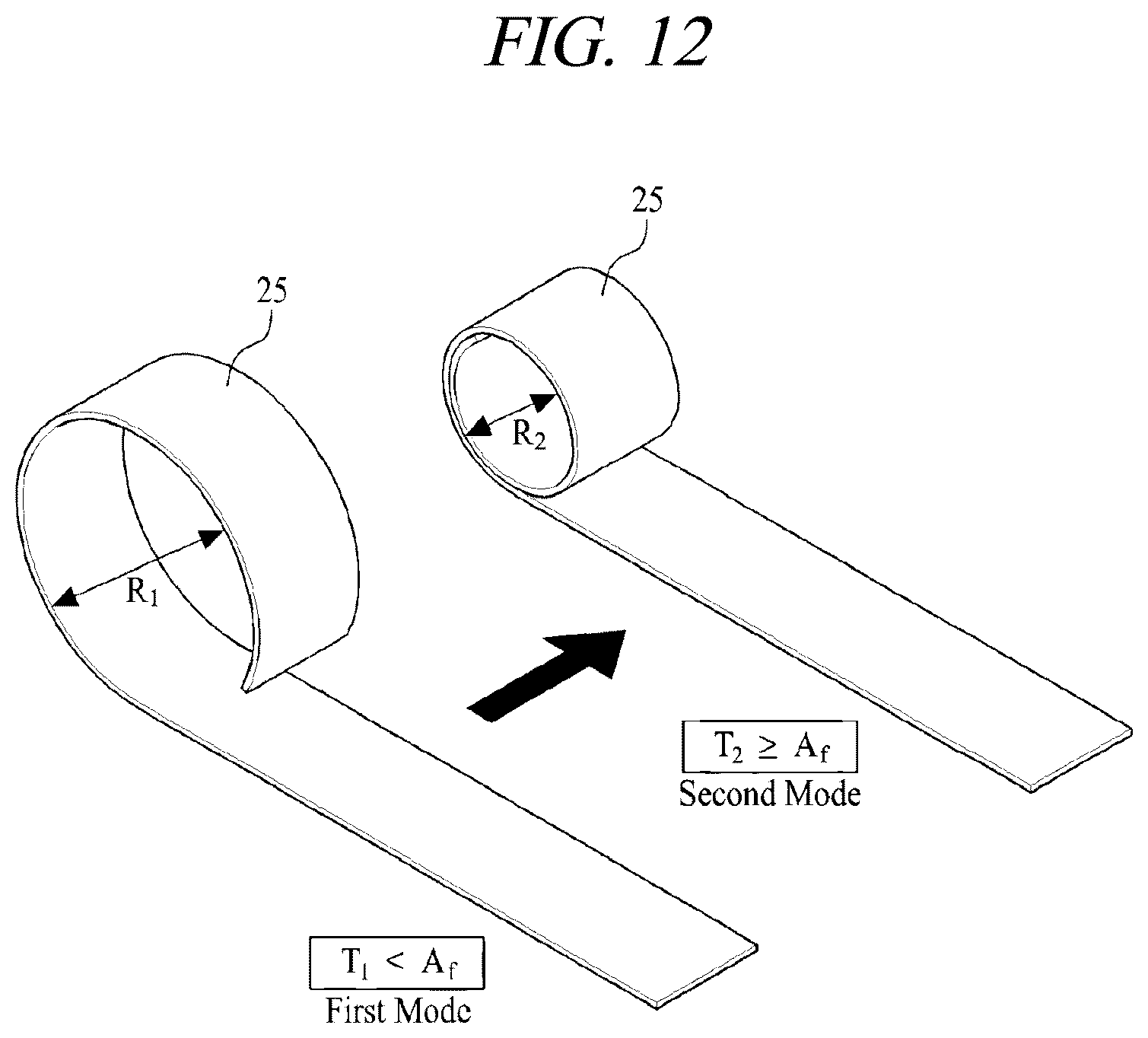 Patent US12599425 Figure 20 – Systems for perivascular nerve denervation