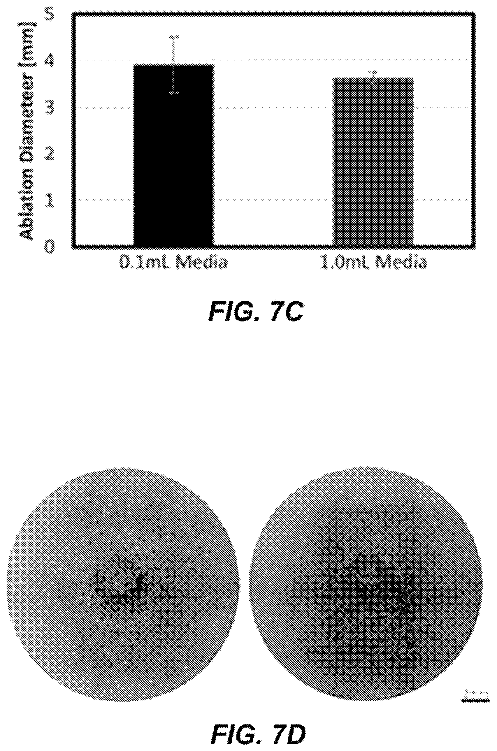 Patent US12599429 Figure 10 – Methods for controlling treatment volumes, thermal gradients, muscle stimulation, and immune responses in pulsed electric field treatments