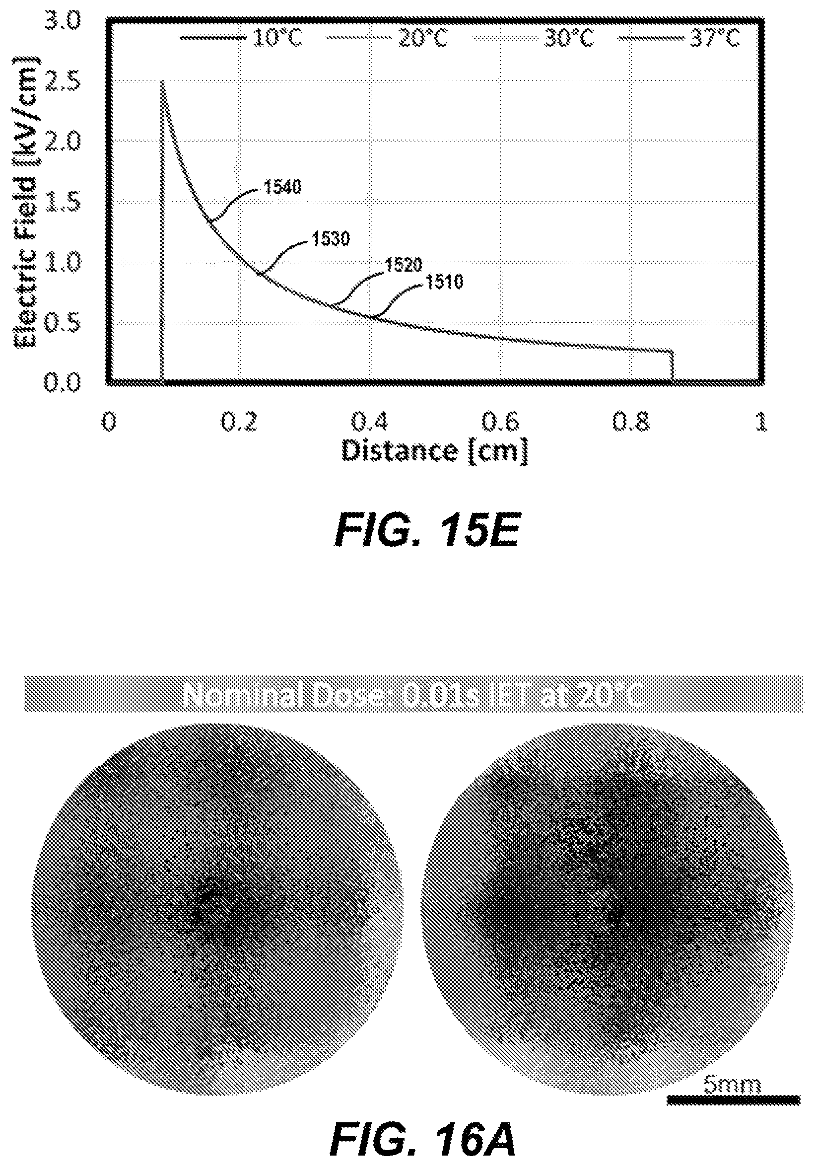 Patent US12599429 Figure 19 – Methods for controlling treatment volumes, thermal gradients, muscle stimulation, and immune responses in pulsed electric field treatments